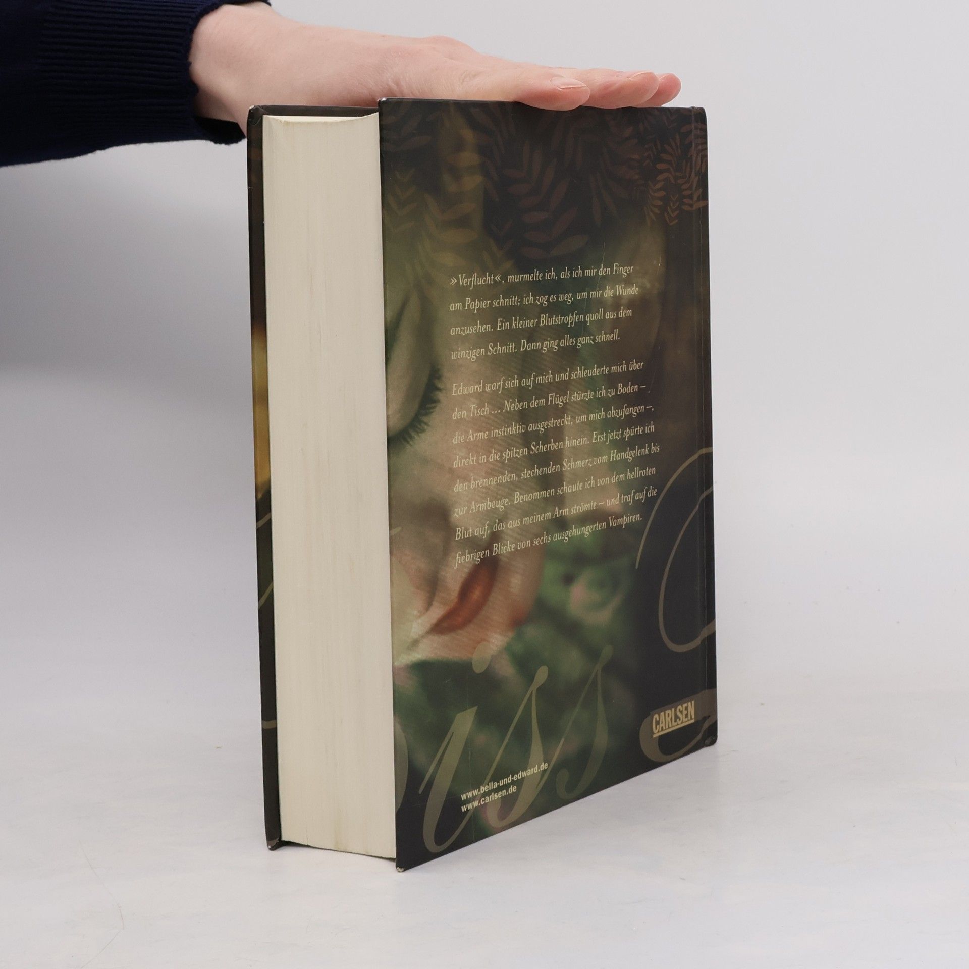 Stephenie Meyer Biss zum Ende der Nacht