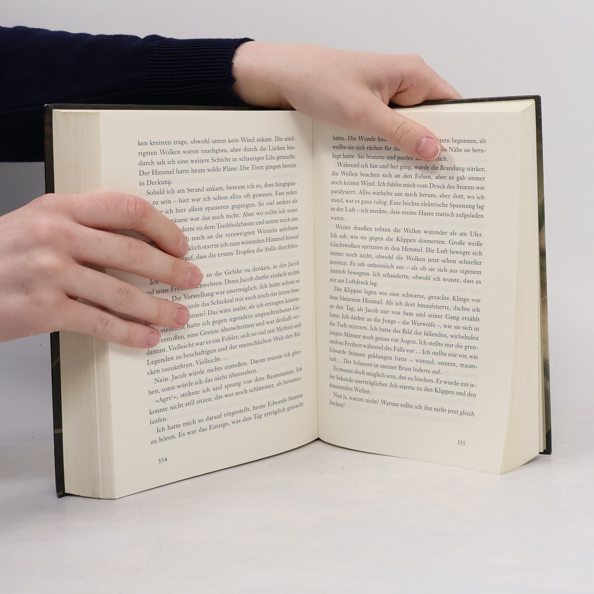 Stephenie Meyer Biss zum Ende der Nacht