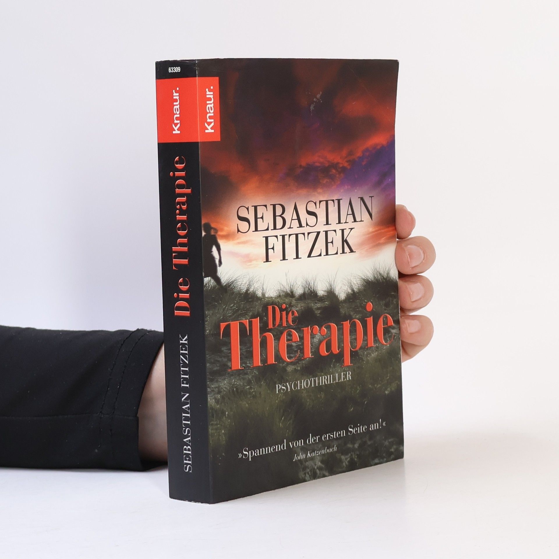 Sebastian Fitzek Die Therapie