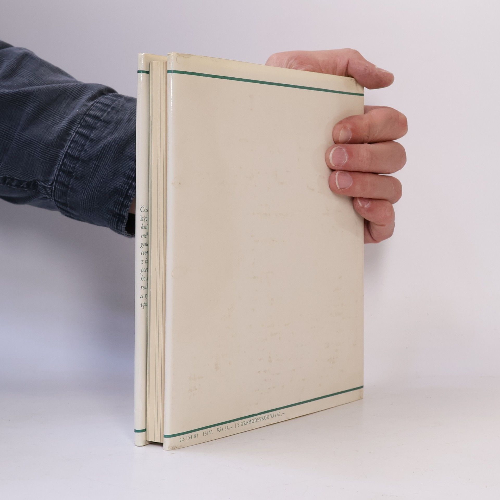 Autorenkollektiv Česká básnická moderna. Poezie z konce 19. století (s gramodeskou)