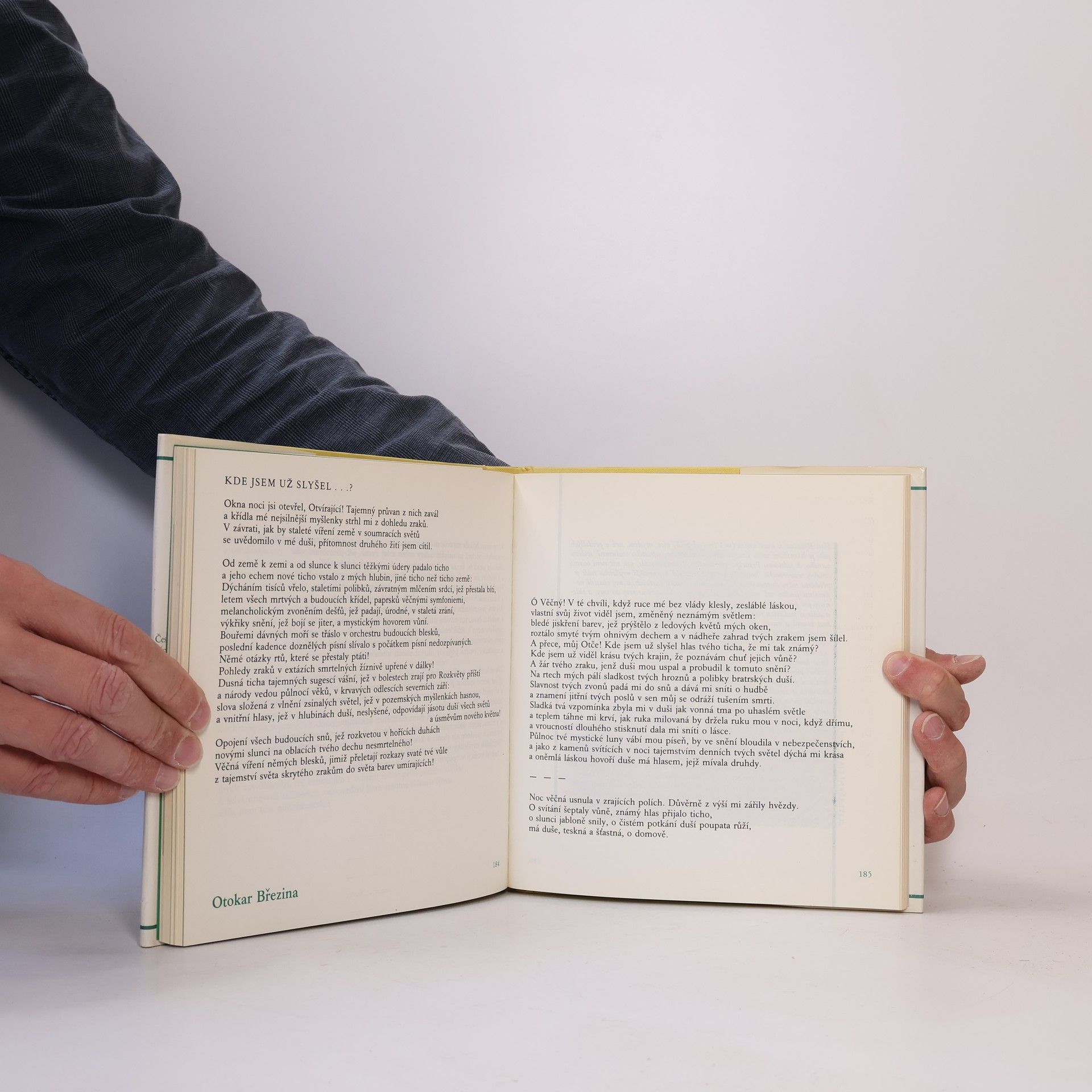 Autorenkollektiv Česká básnická moderna. Poezie z konce 19. století (s gramodeskou)