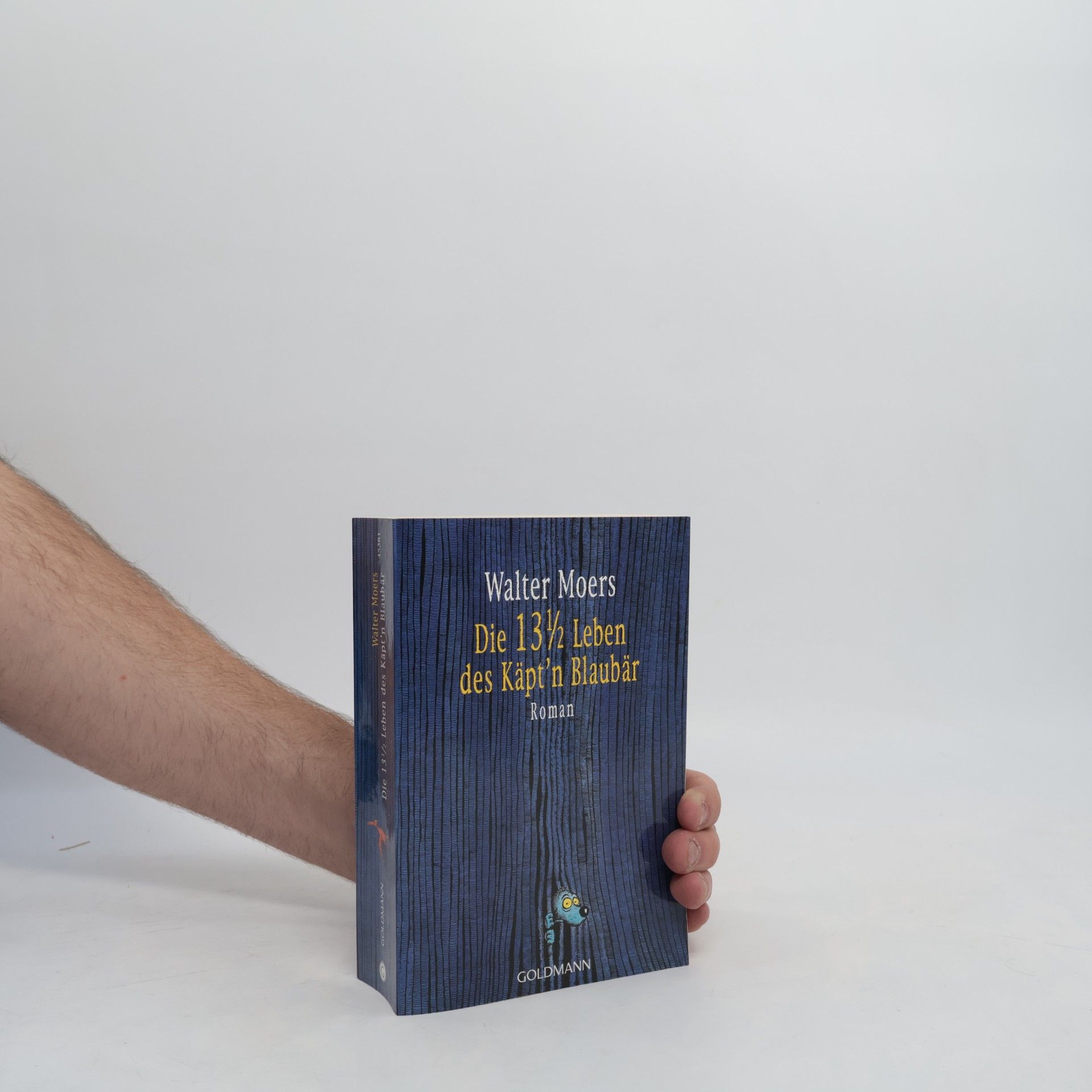Walter Moers Die 13 1/2 Leben des Käpt'n Blaubär