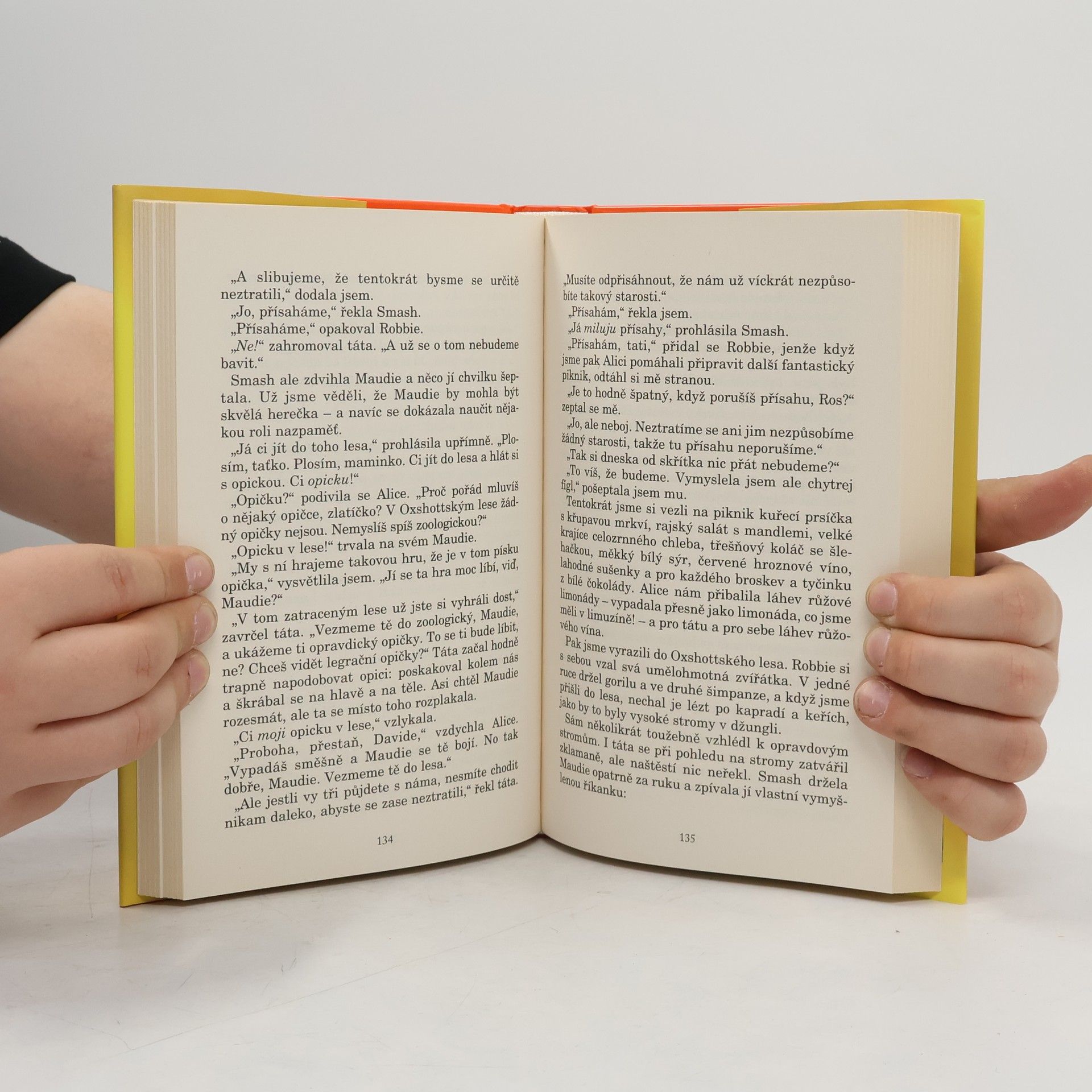 Jacqueline Wilson Čtyři děti a skřítek