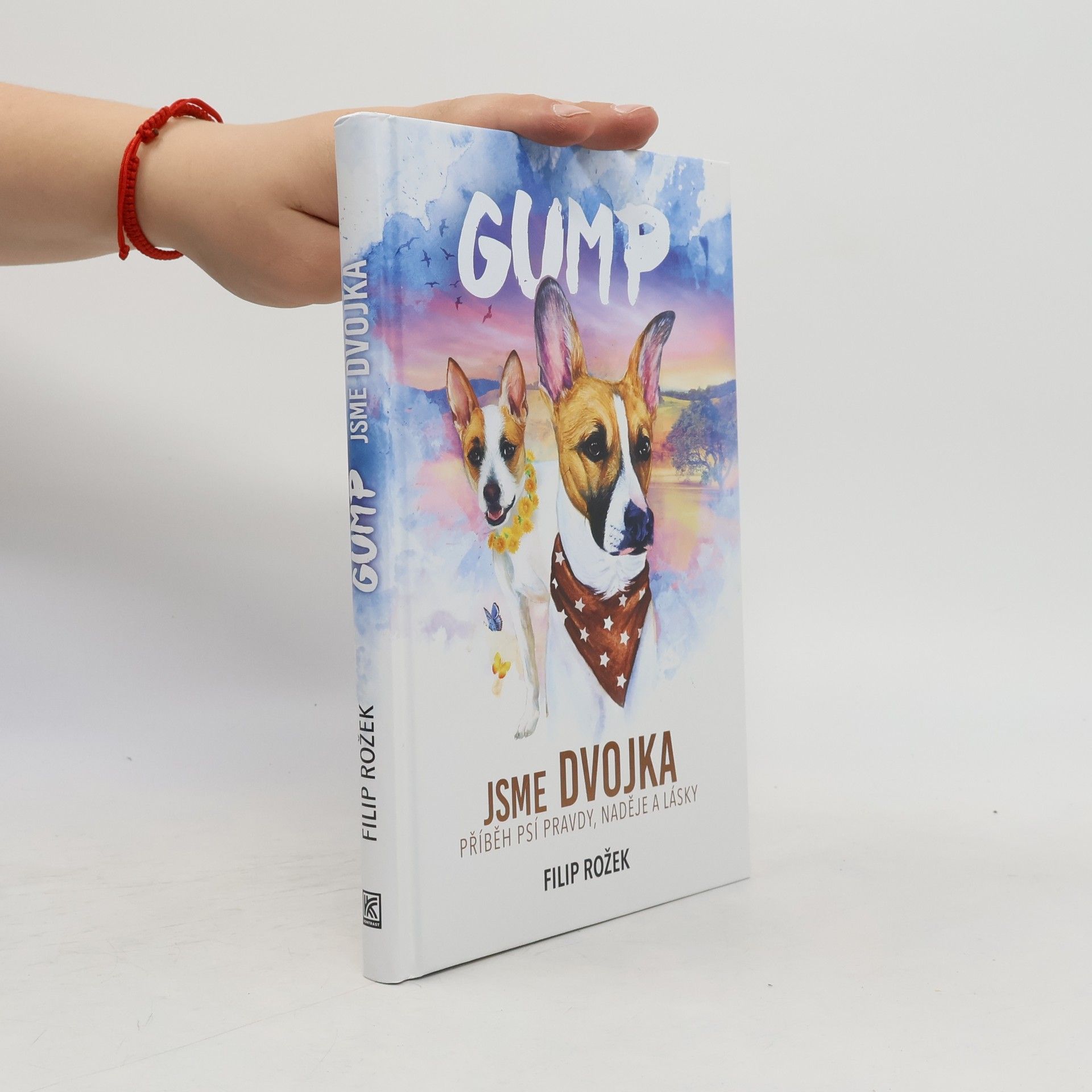 Filip Rožek Gump jsme dvojka: Příběh psí pravdy, naděje a lásky
