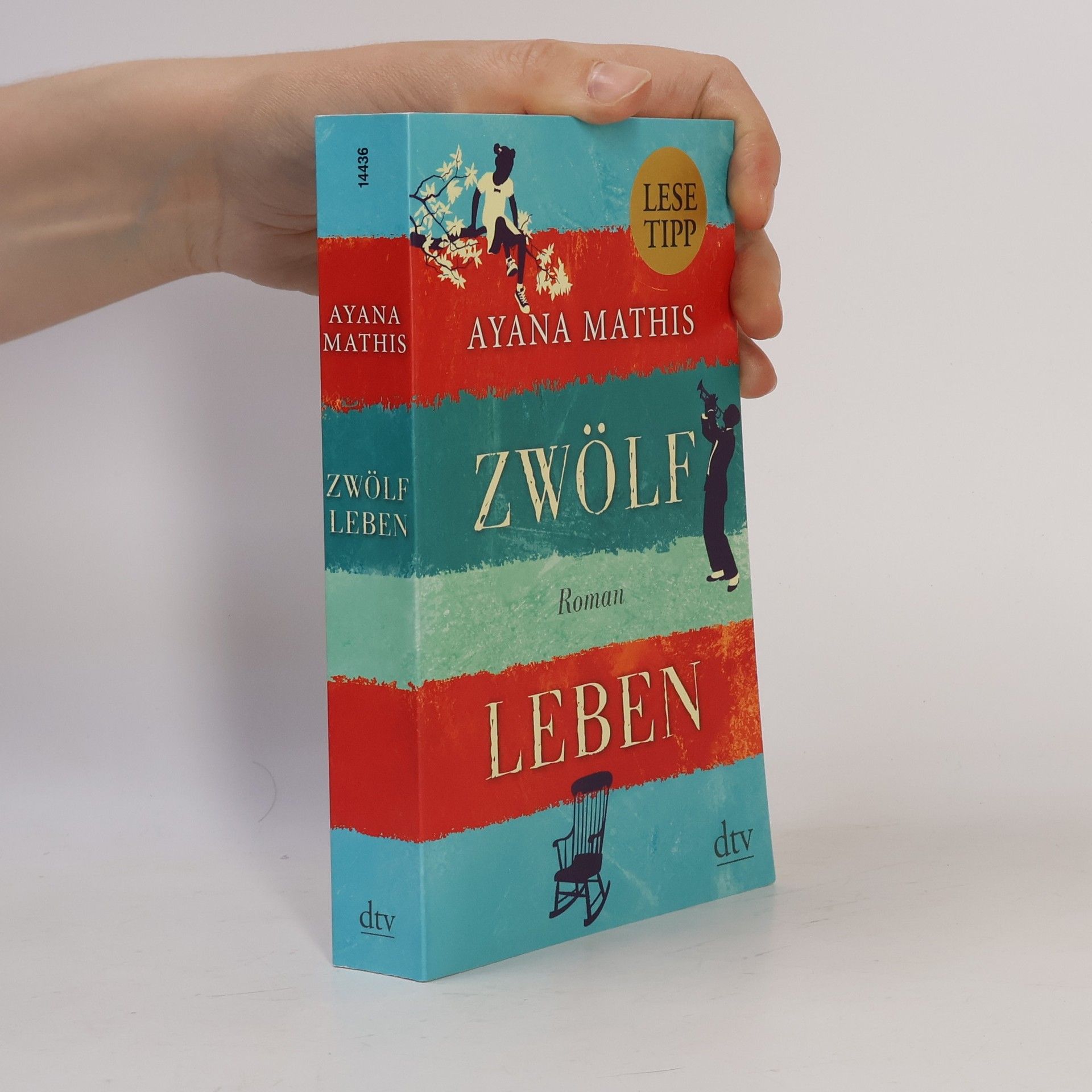 Ayana Mathis Zwölf Leben