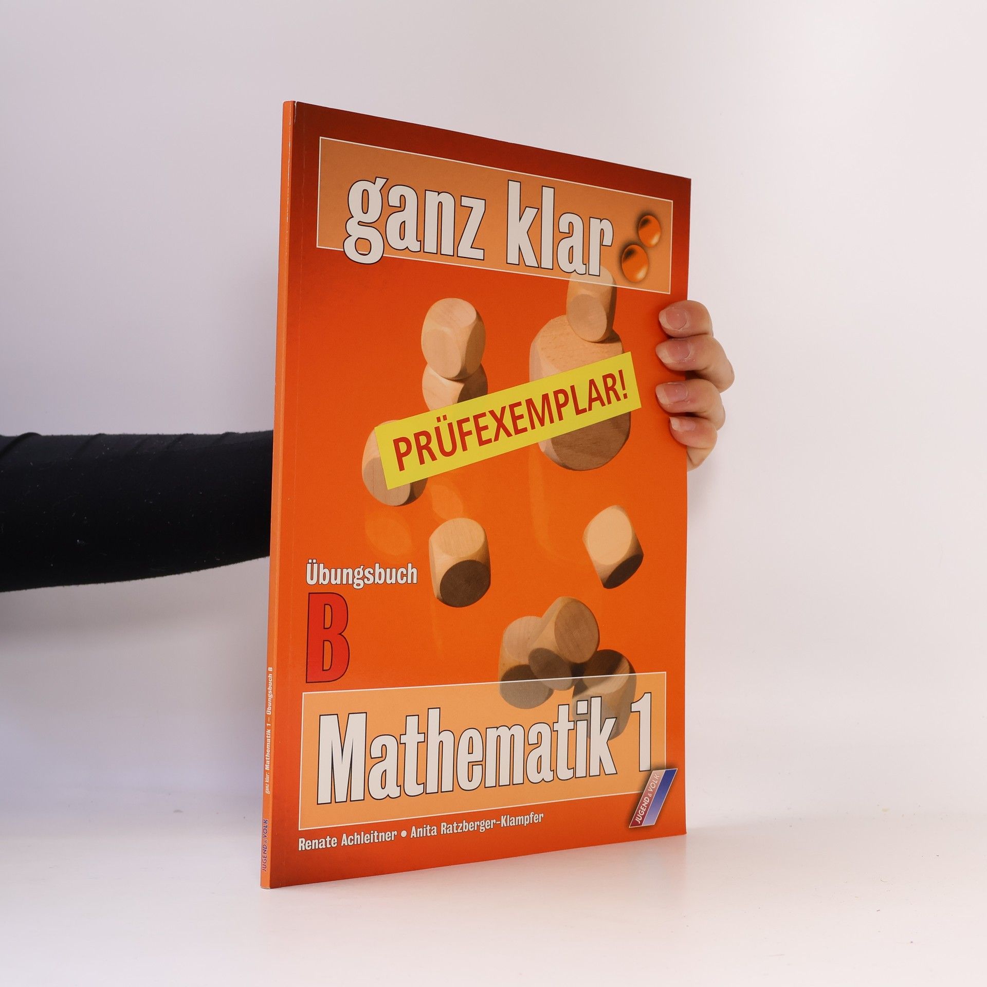 Kolektiv autorů ganz klar: Mathematik 1. Übungsbuch B