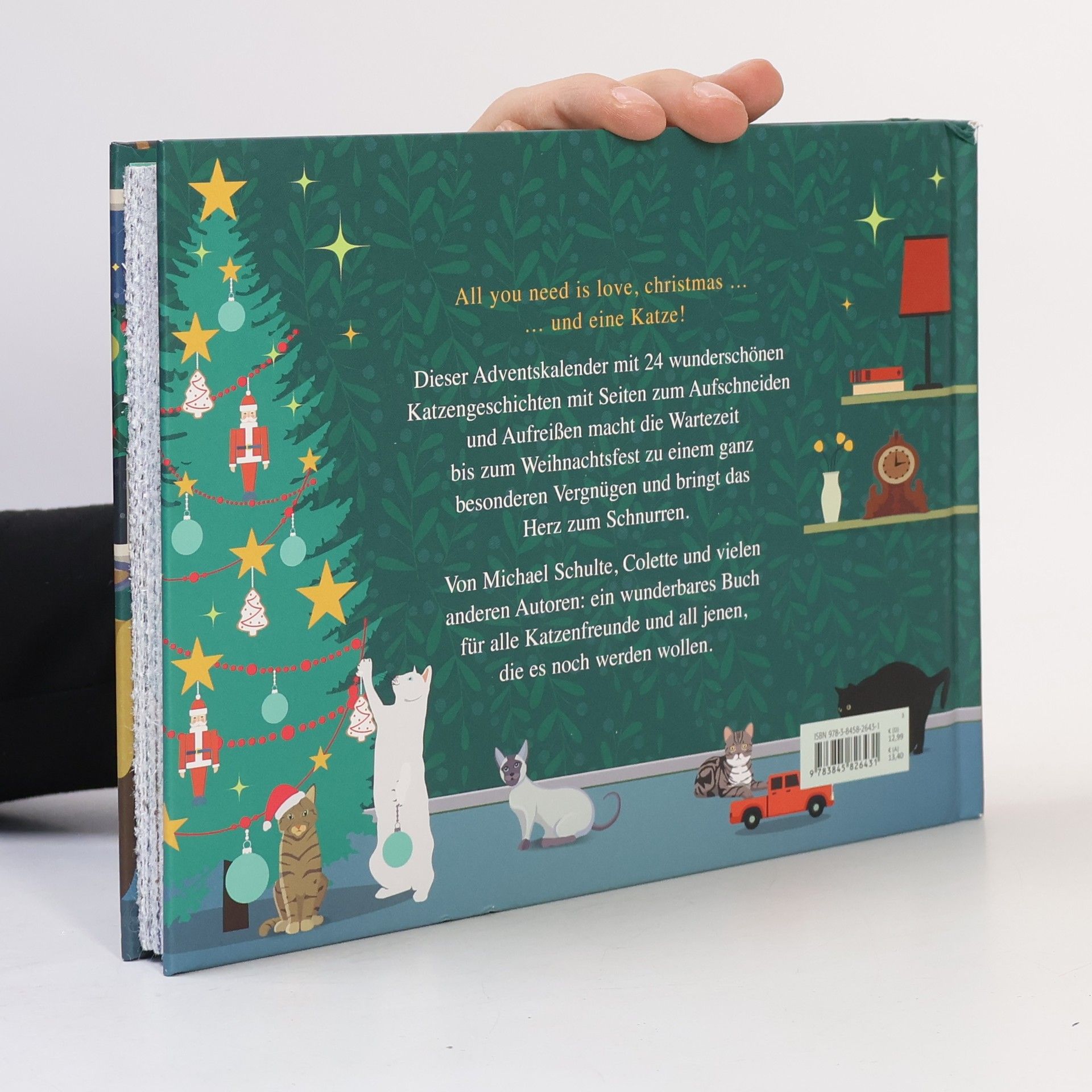 Auteurscollectief 24 Katzengeschichten für den Advent