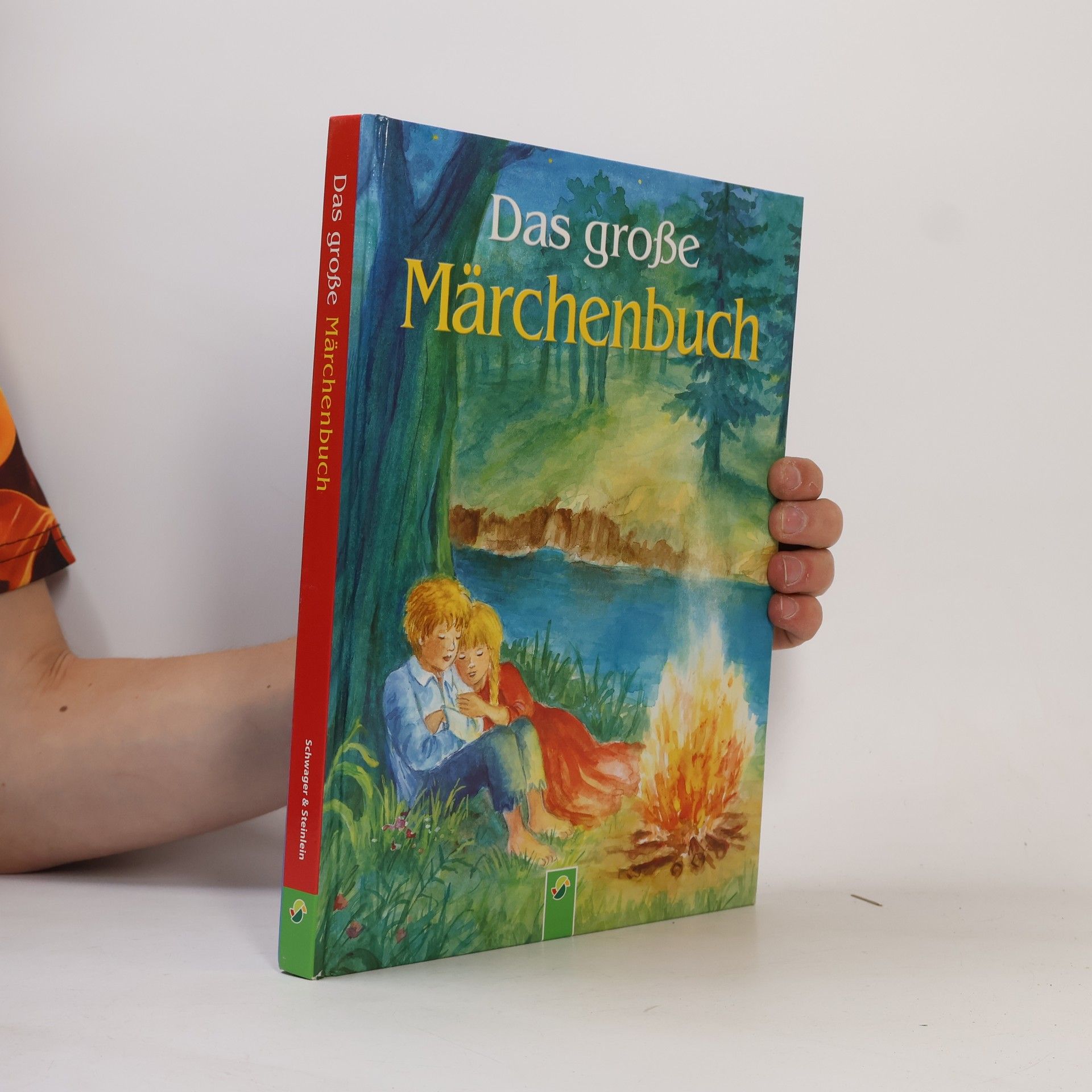 Collectif d'auteurs Das große Märchenbuch