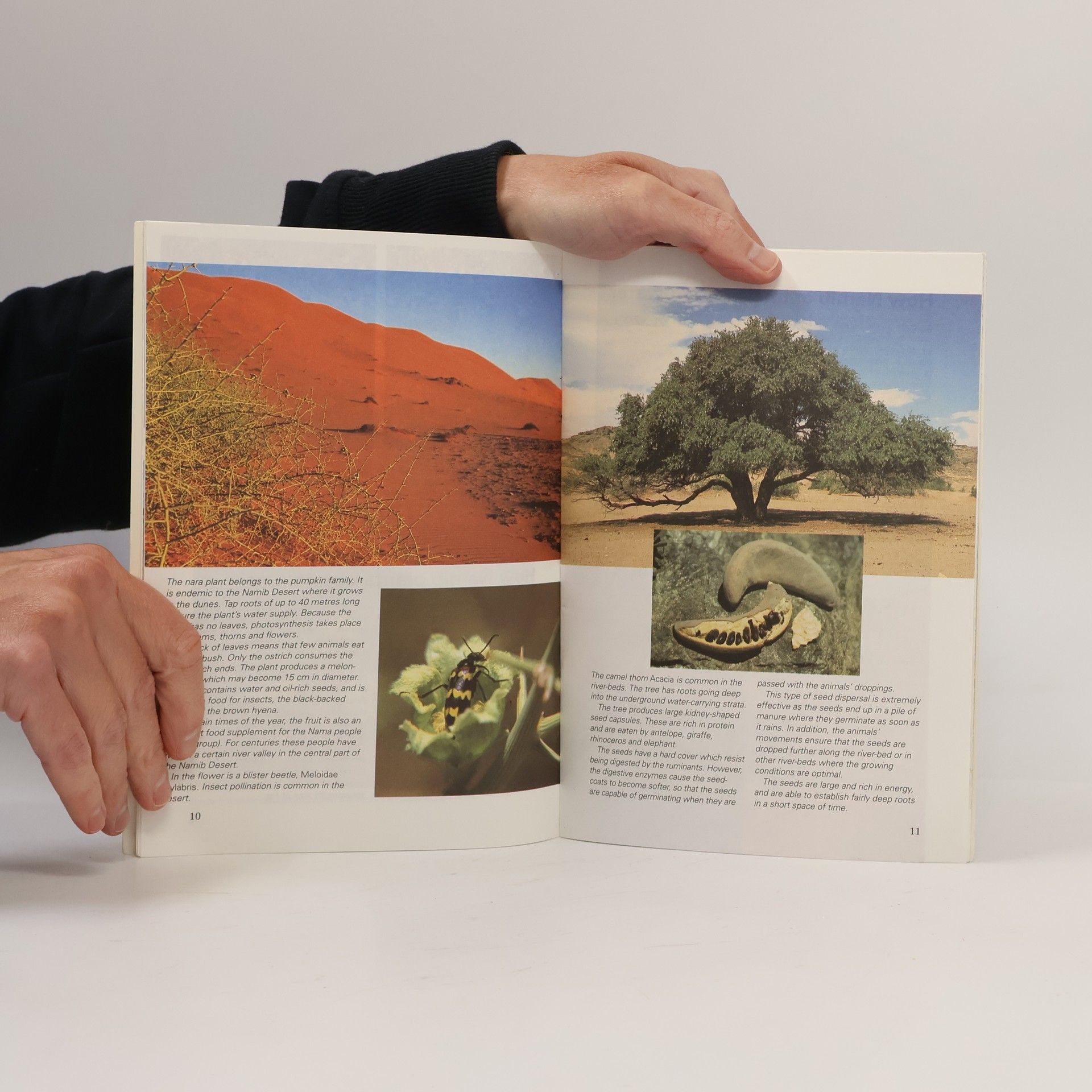 Søren Mark Jensen The Ecology of the Namib Desert