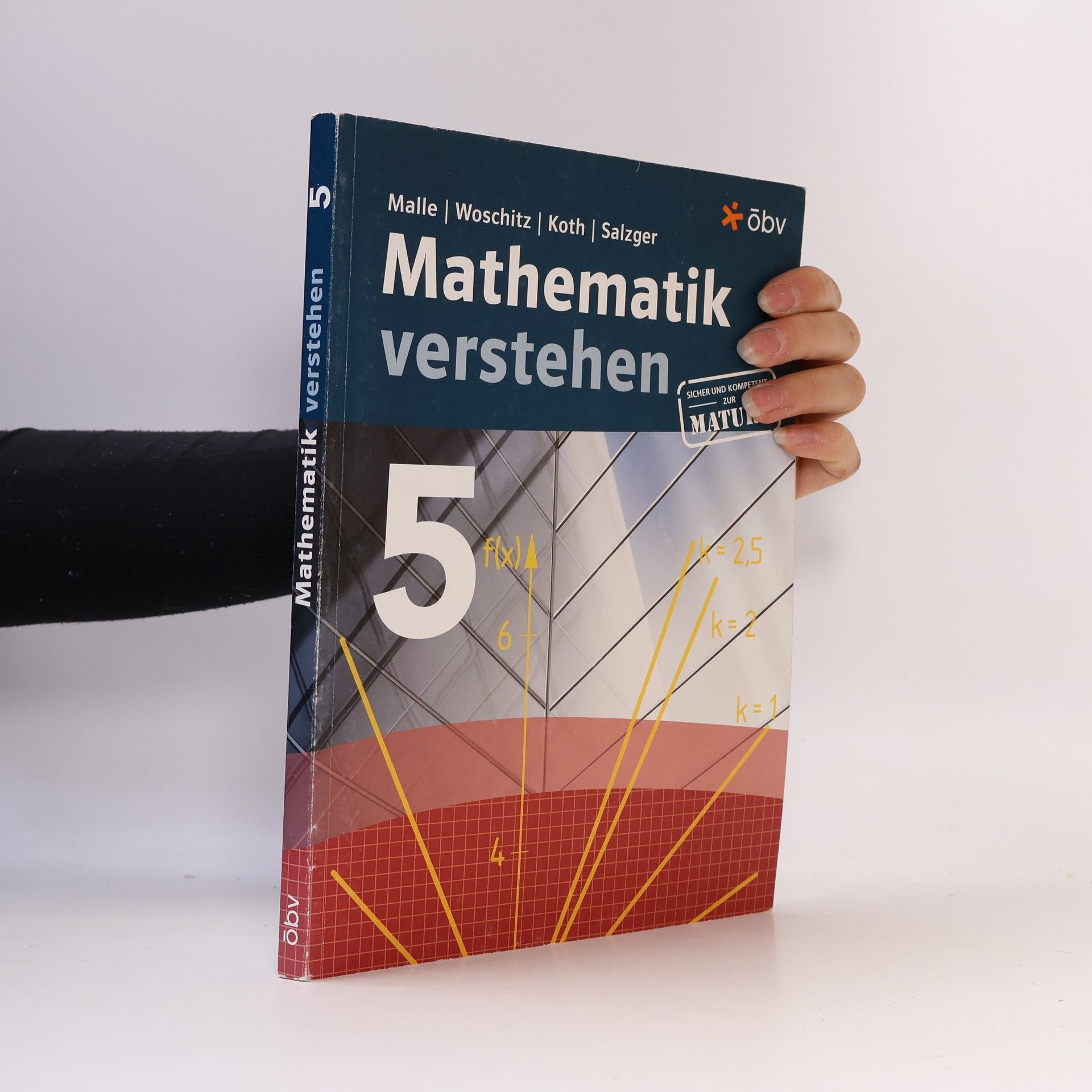 Mathematik verstehen 5