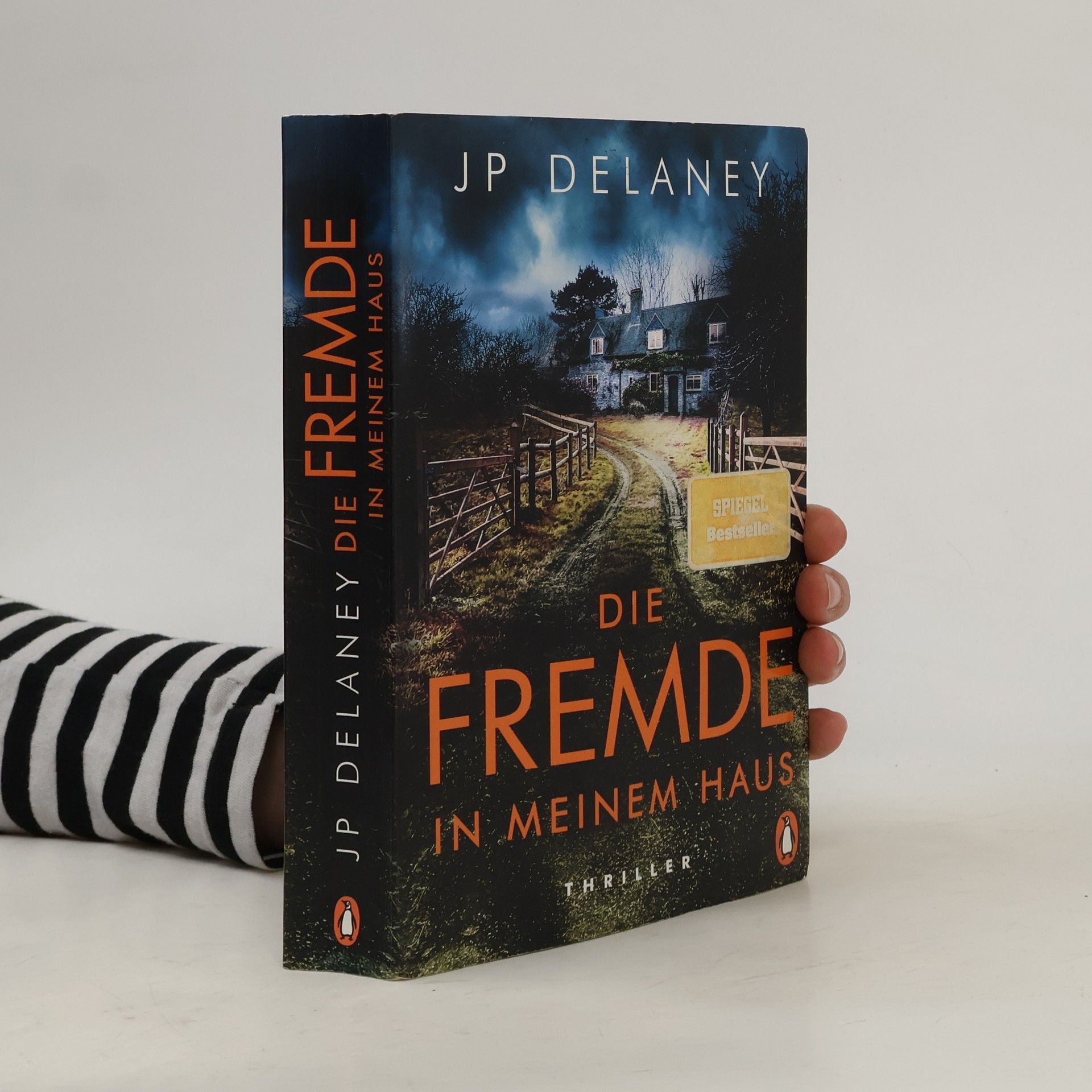 J. P. Delaney Die Fremde in meinem Haus