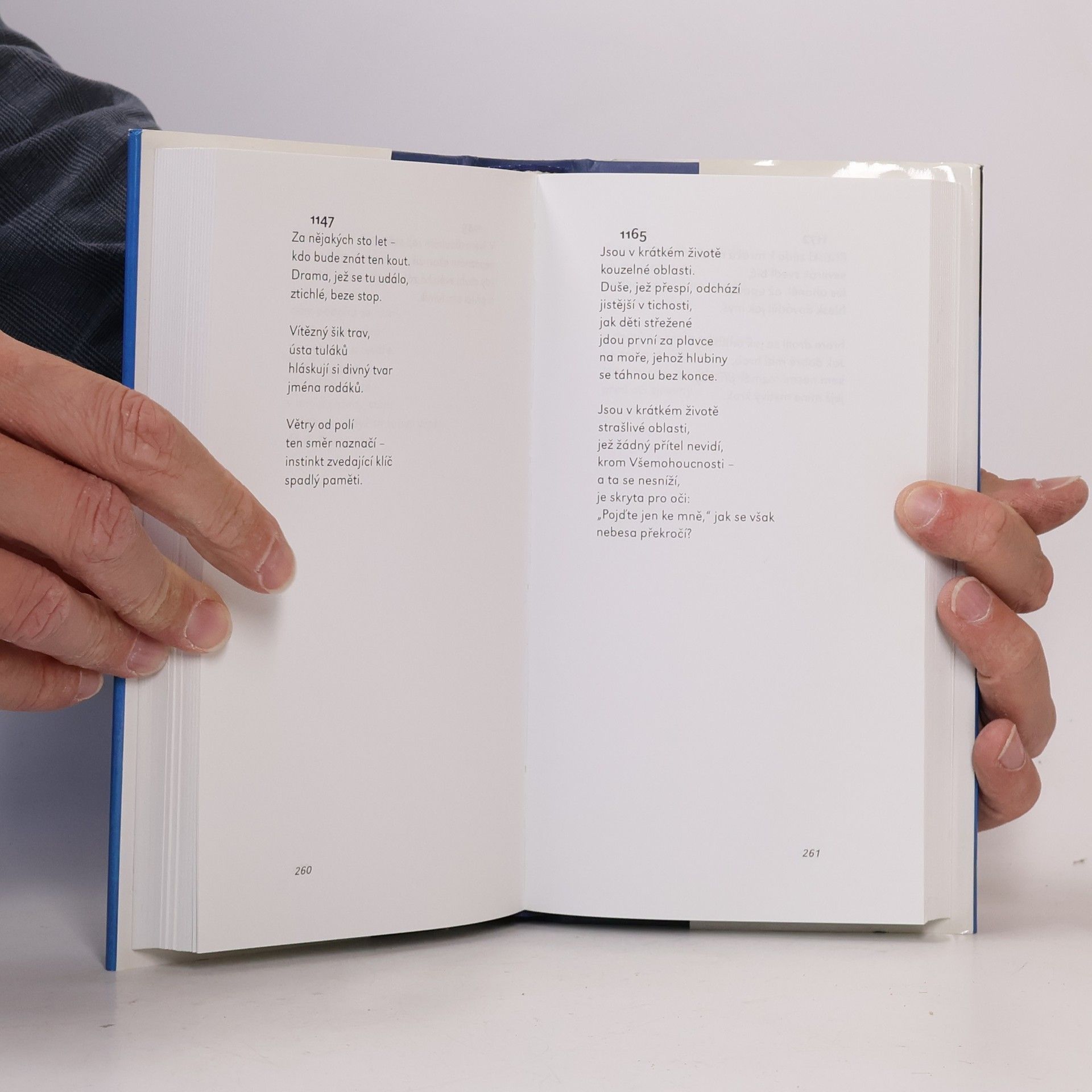 Emily Dickinson Neumím tančit po špičkách