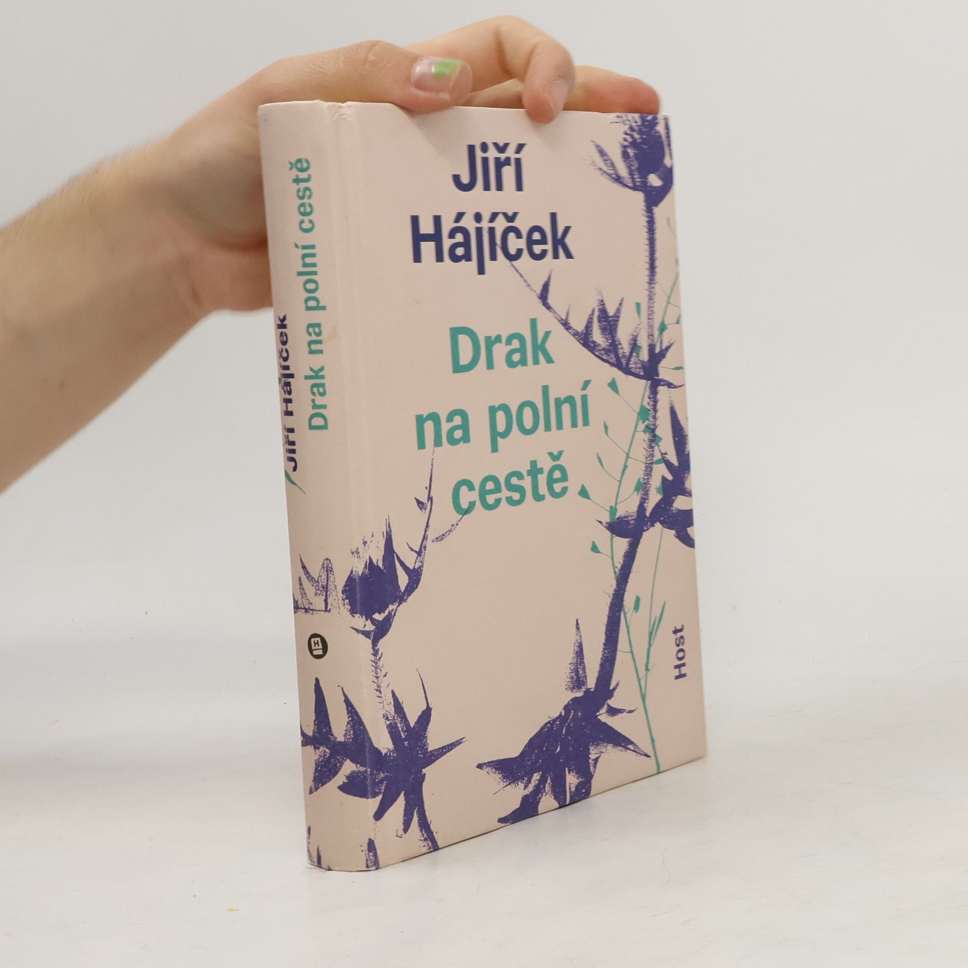 Jiří Hájíček Drak na polní cestě