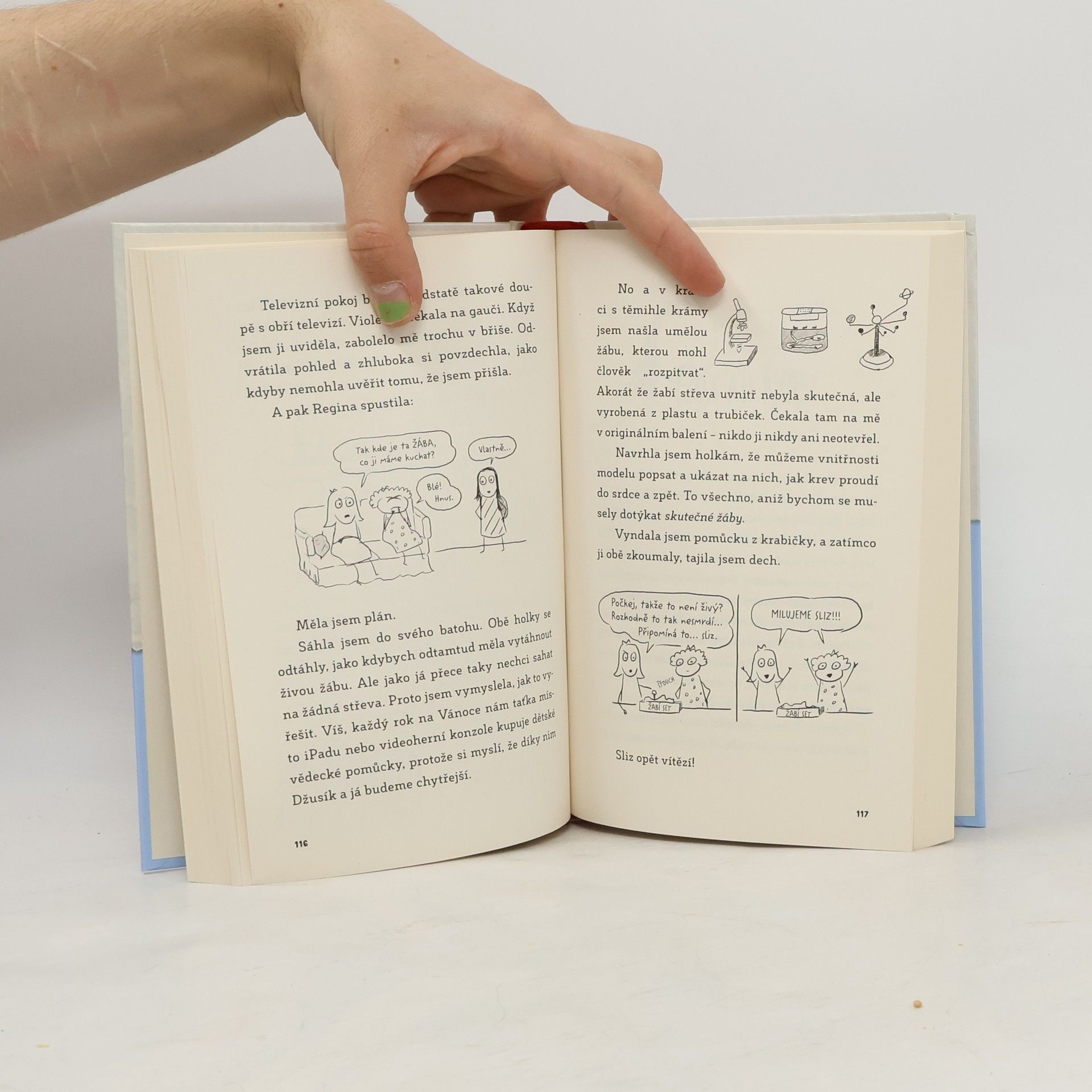 Sara Shepard Deník jedné páťačky