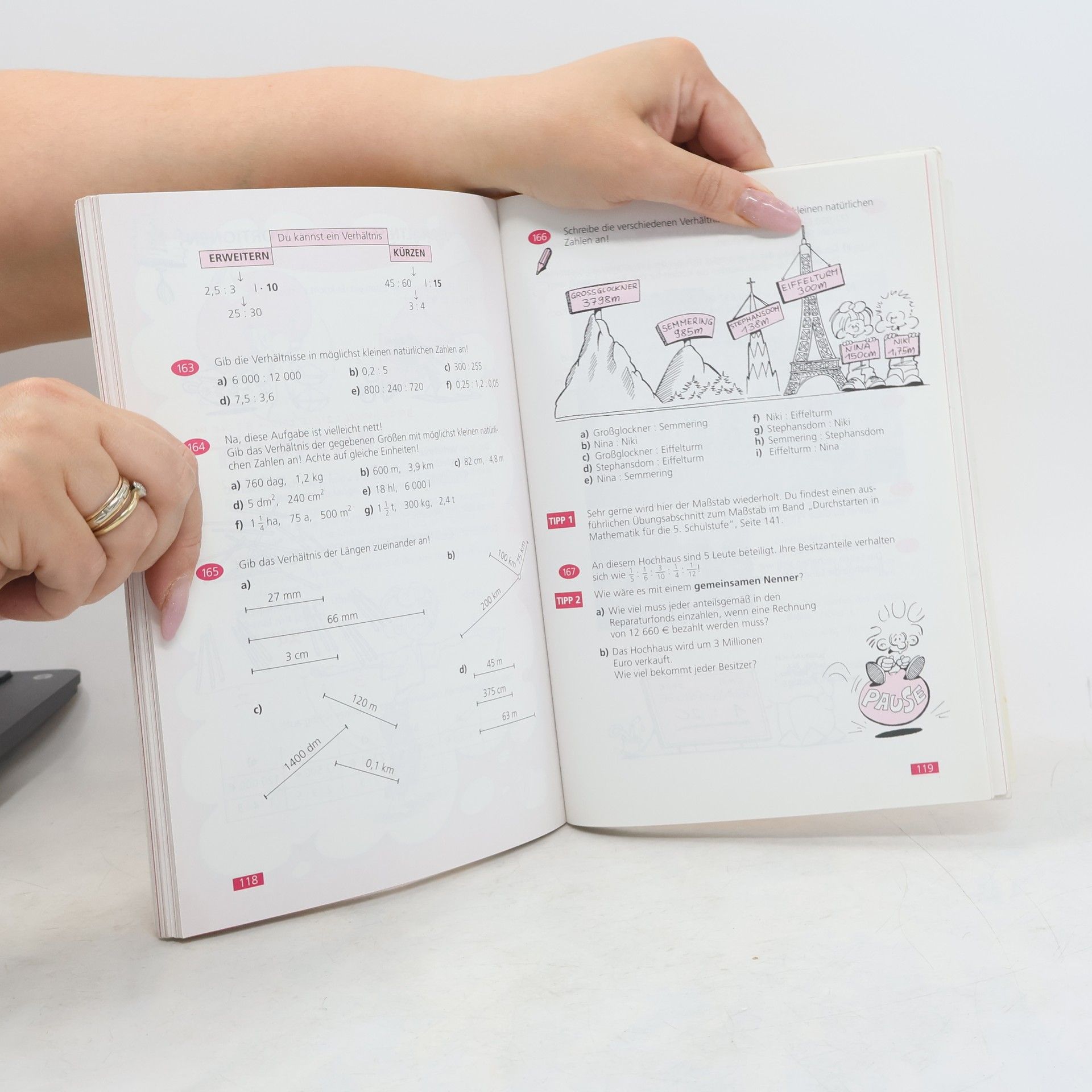 Elisabeth Mürwald-Scheifinger Durchstarten in Mathematik