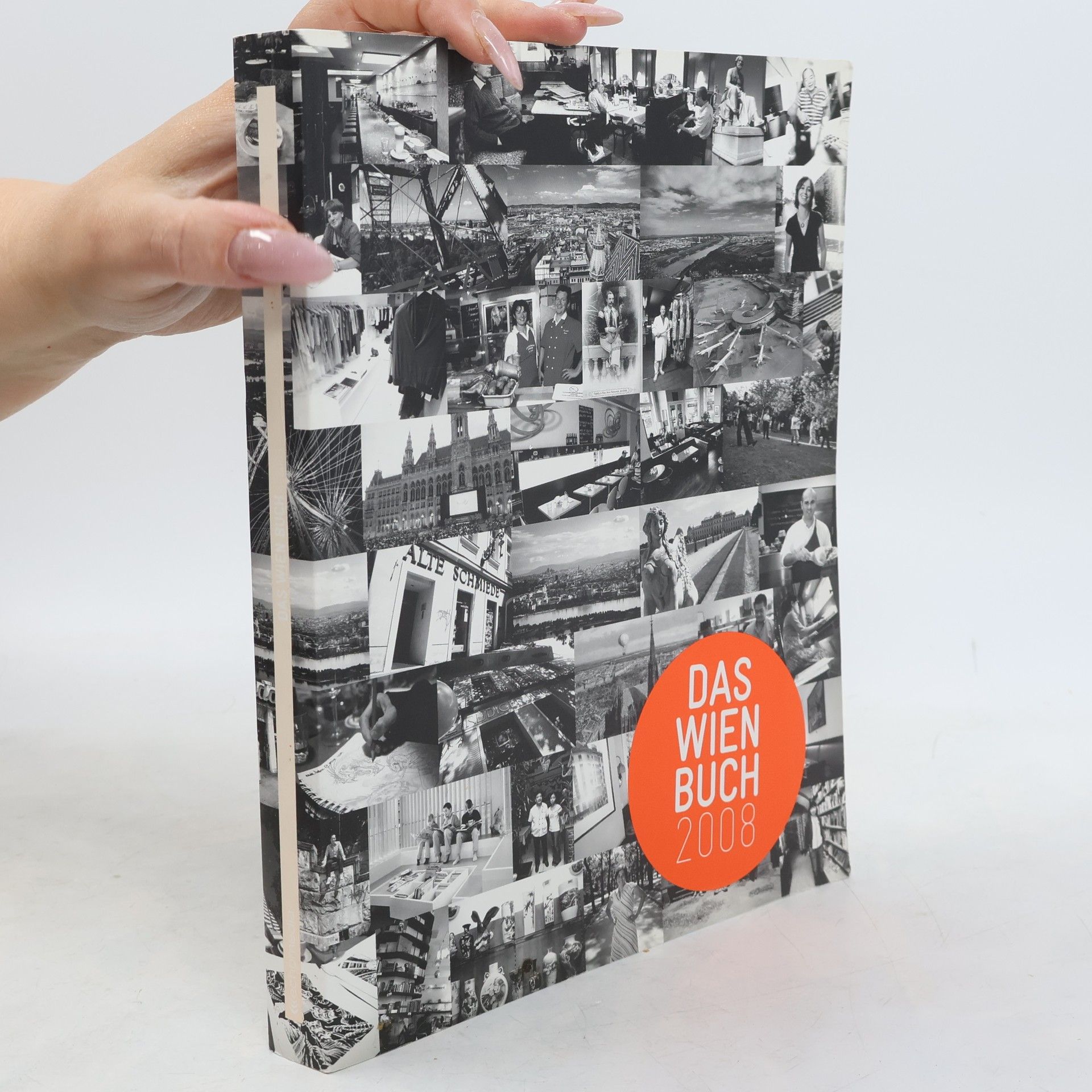 Das Wien Buch 2008