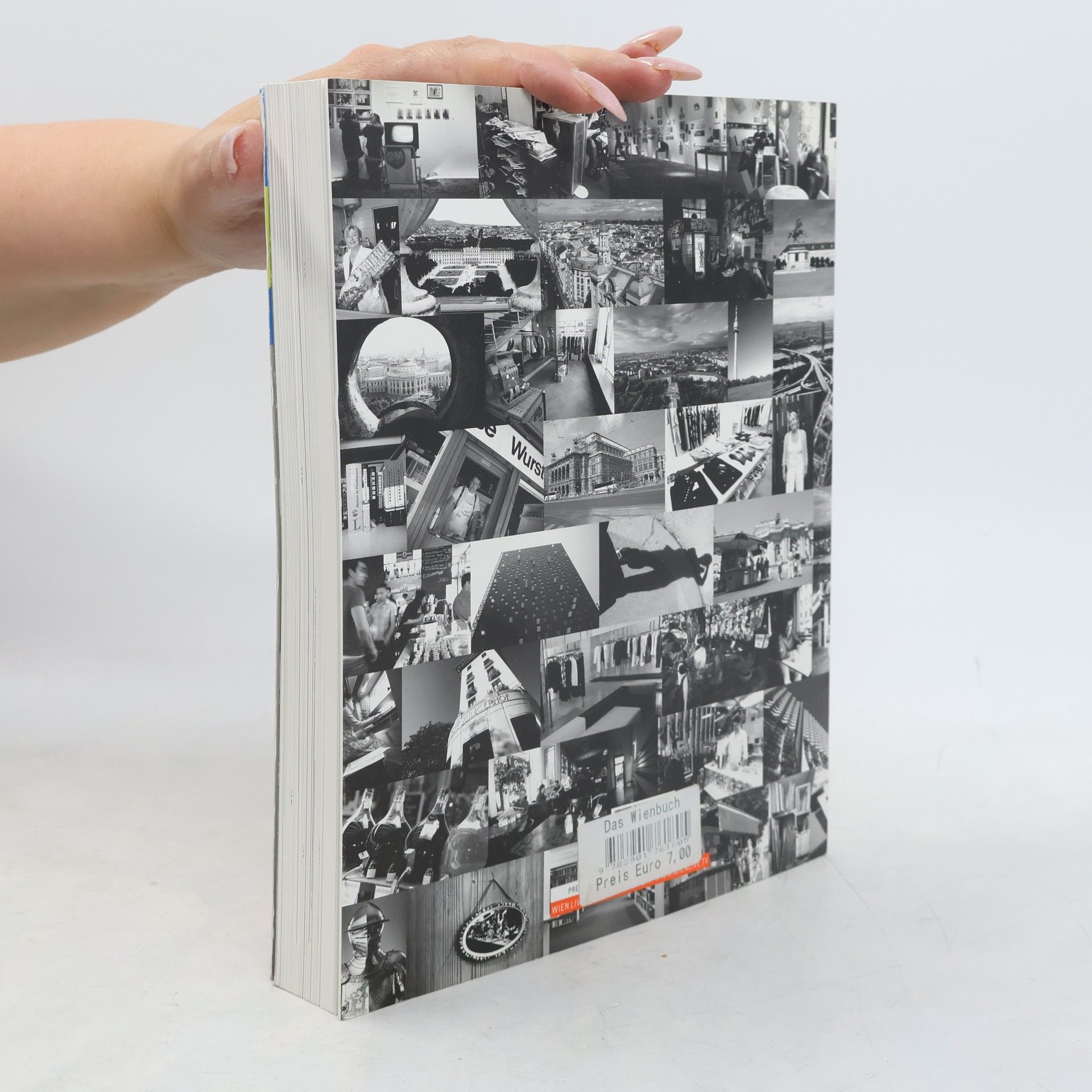 Andrea Mandl Das Wien Buch 2008