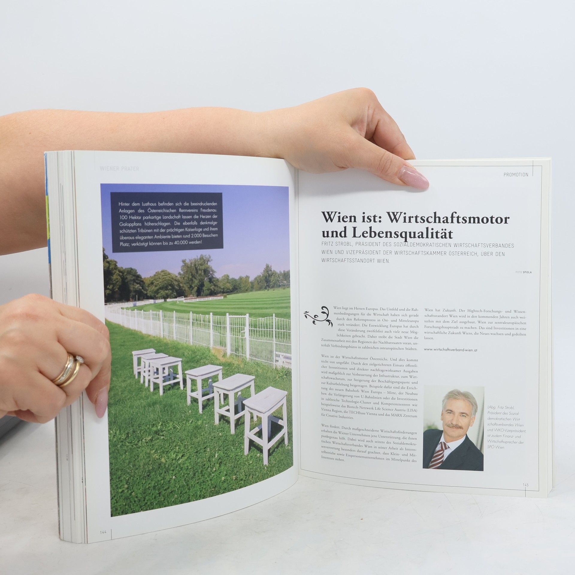 Andrea Mandl Das Wien Buch 2008