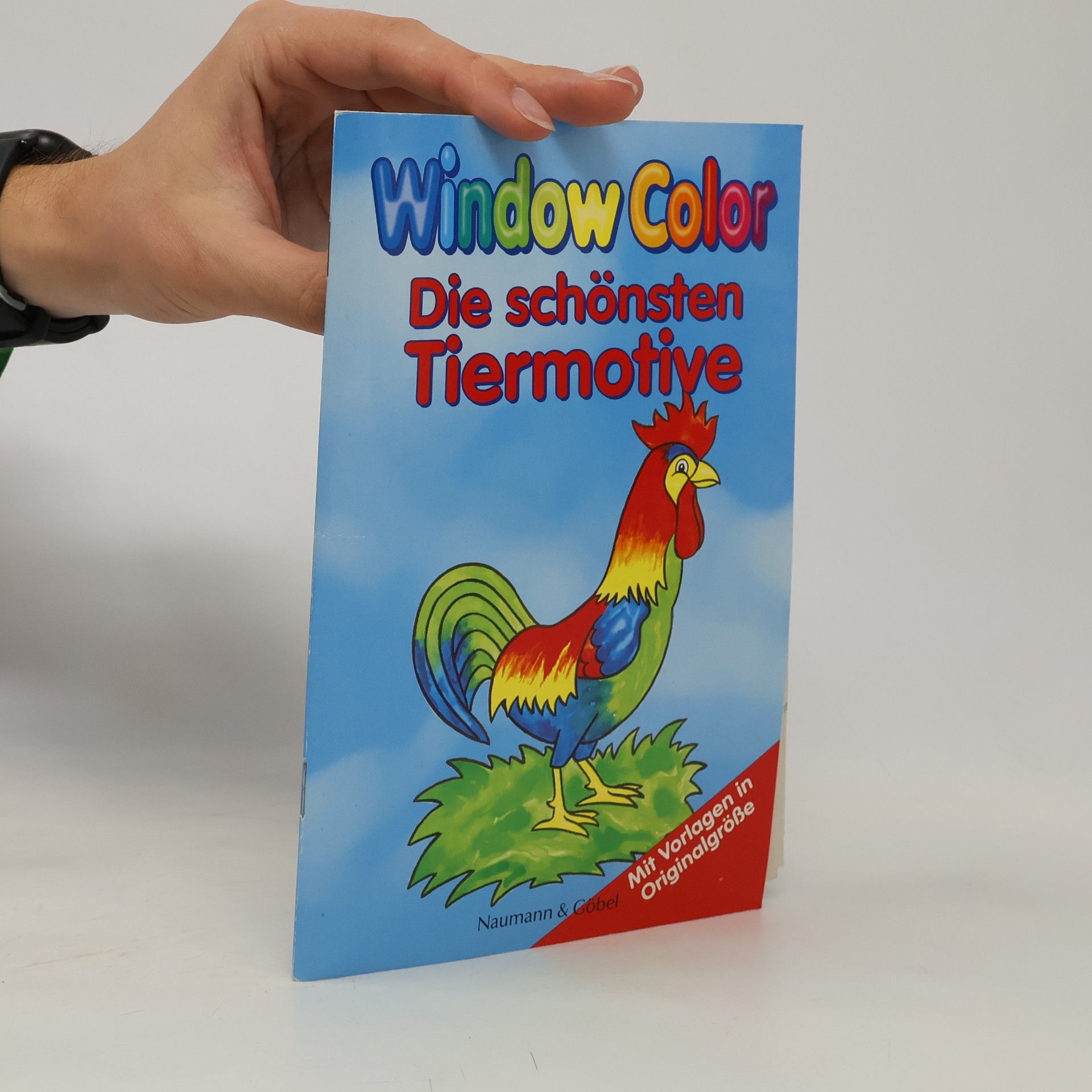 Kolektiv autorů Window Color - die schönsten Tiermotive