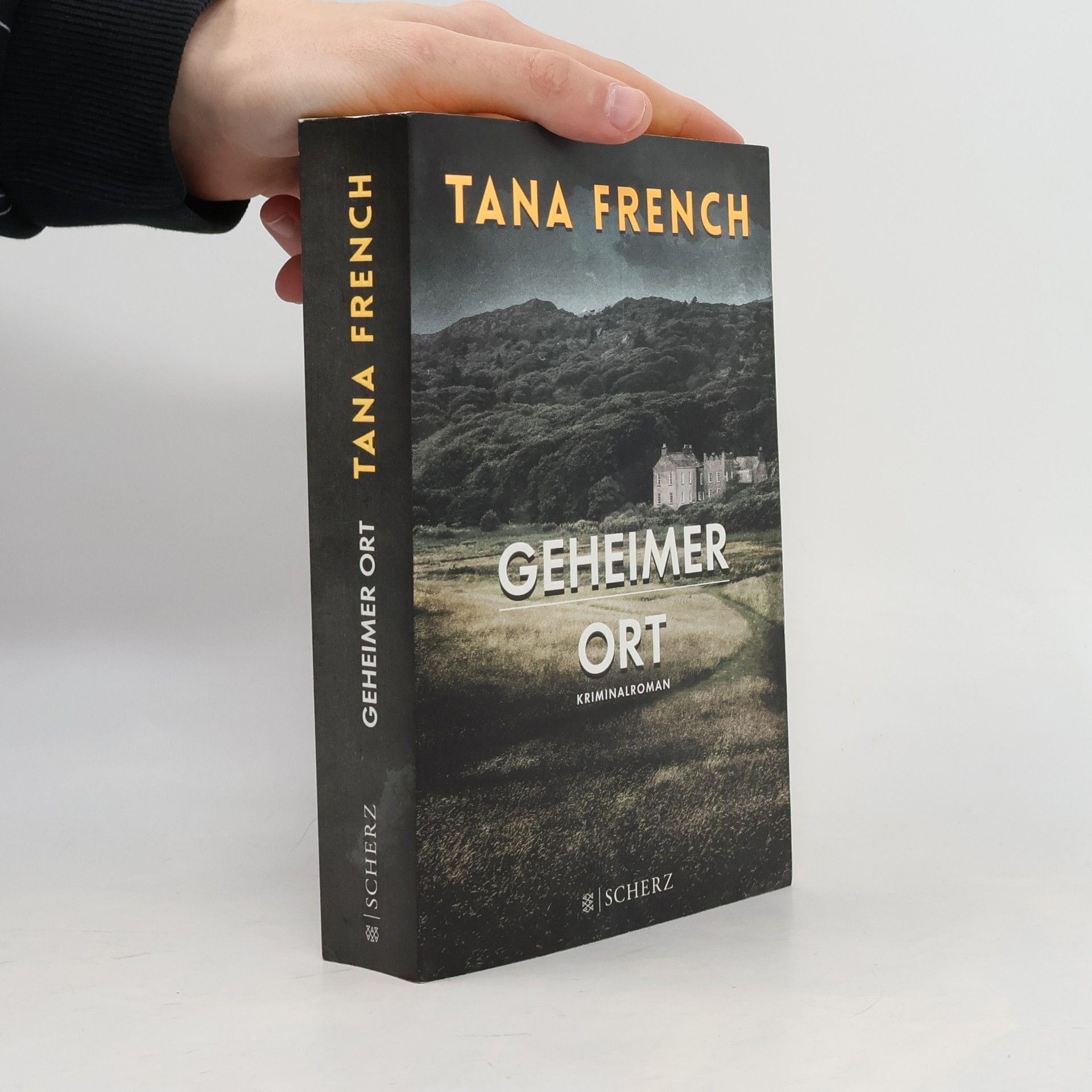 Tana Frenchová Geheimer Ort