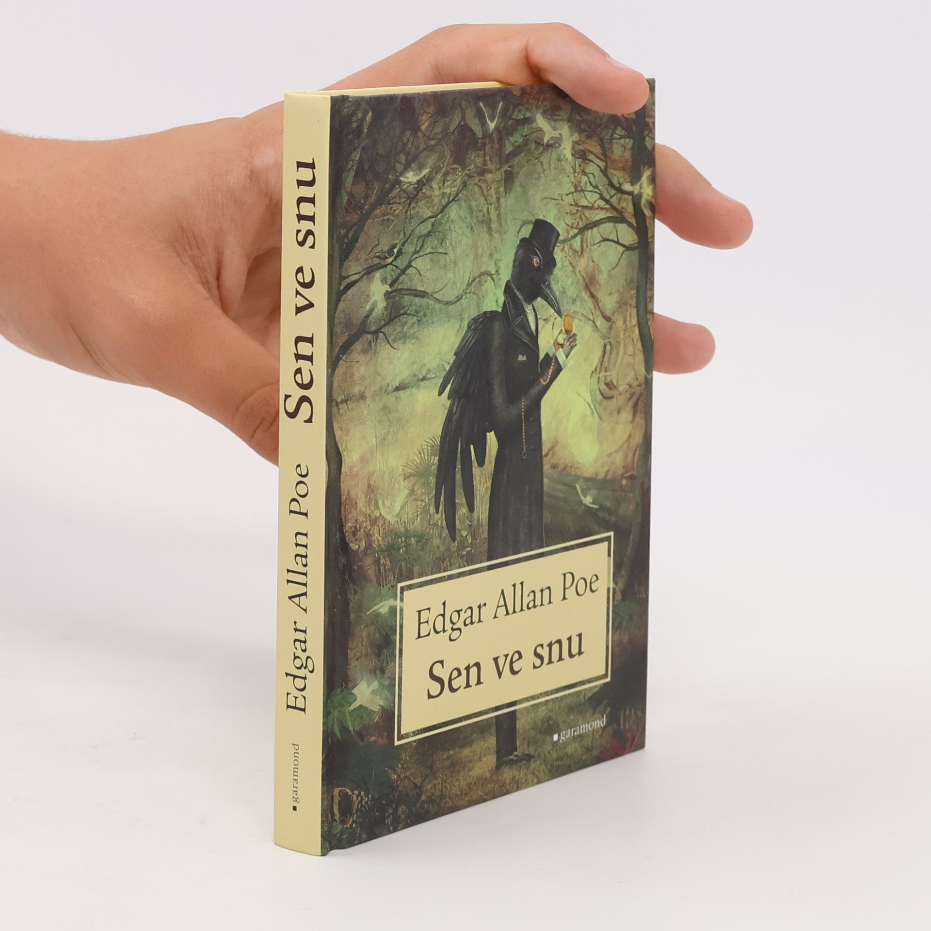 Edgar Allan Poe Sen ve snu