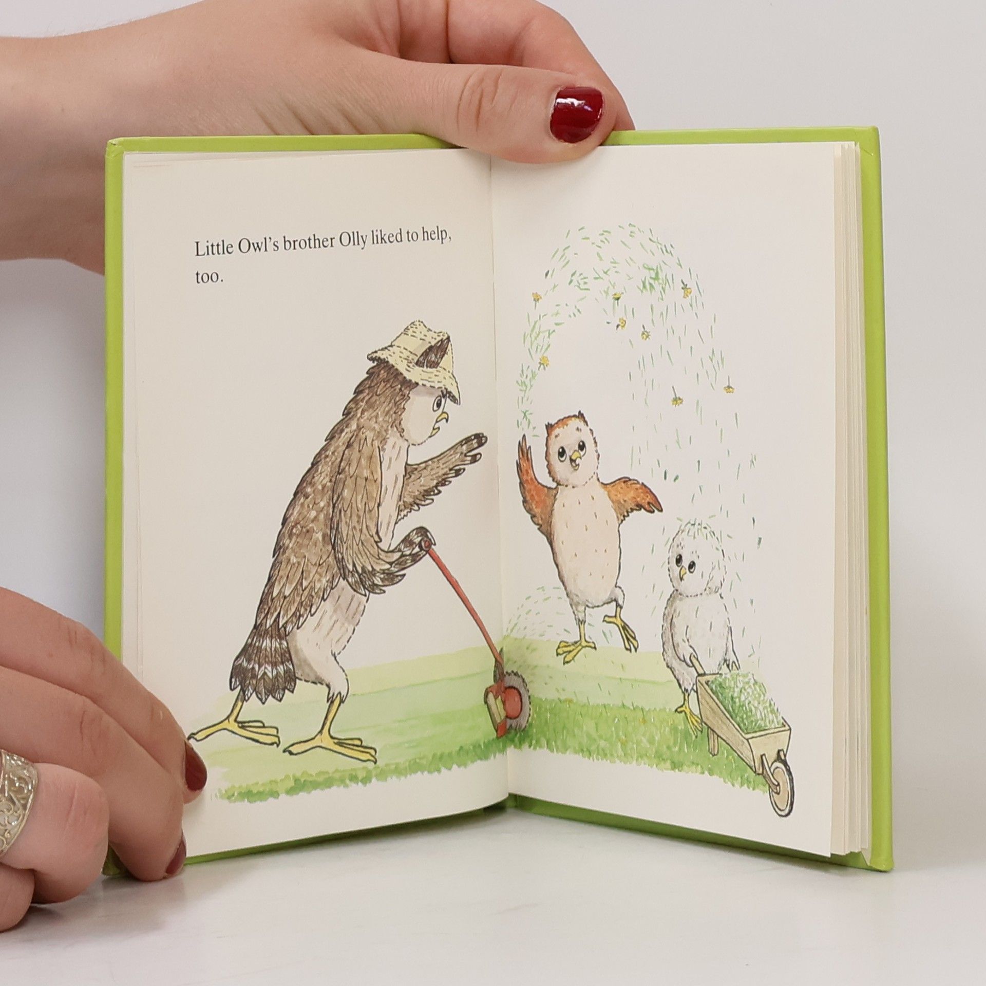 Constance Boyle Little Owl and the Weed