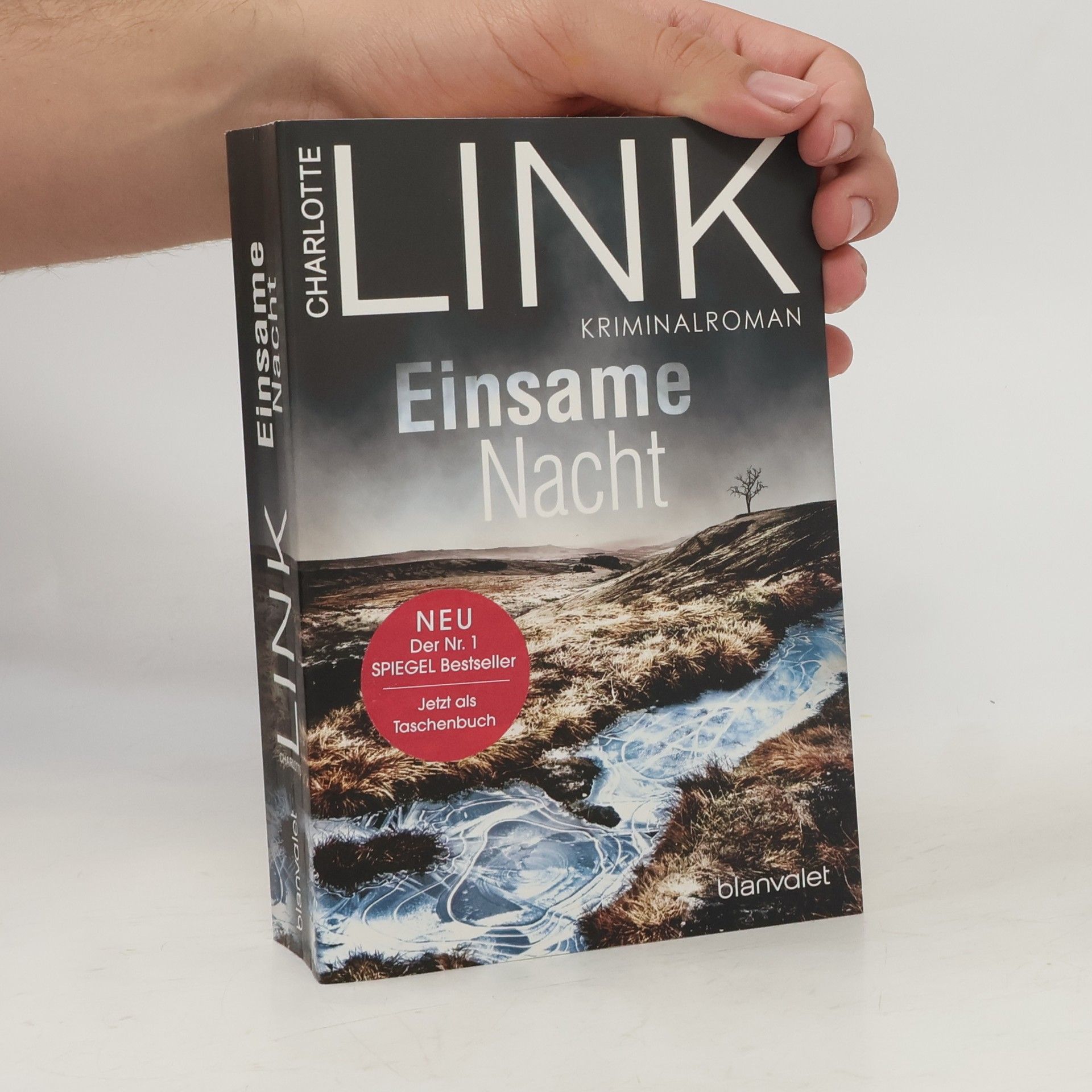 Charlotte Link Einsame Nacht
