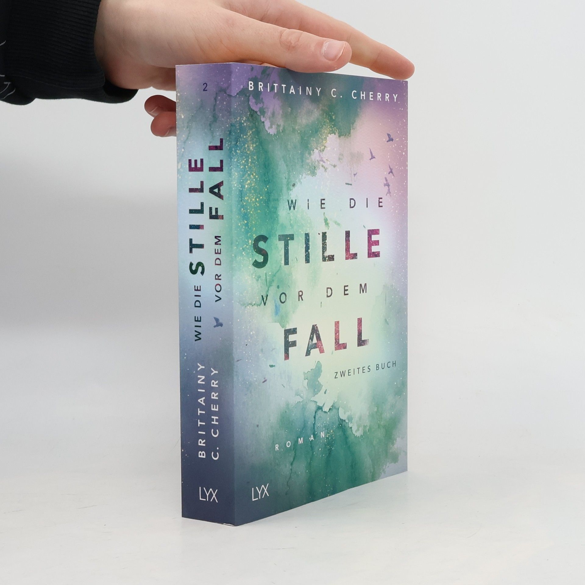 Brittainy C. Cherry Wie die Stille vor dem Fall 2
