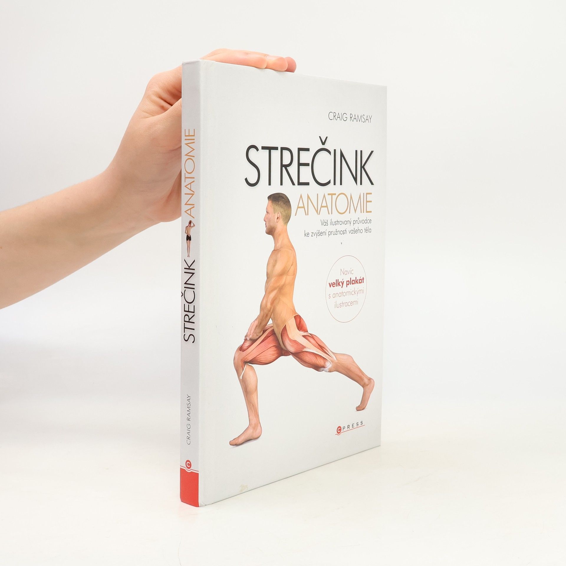 Craig Ramsay Strečink - anatomie