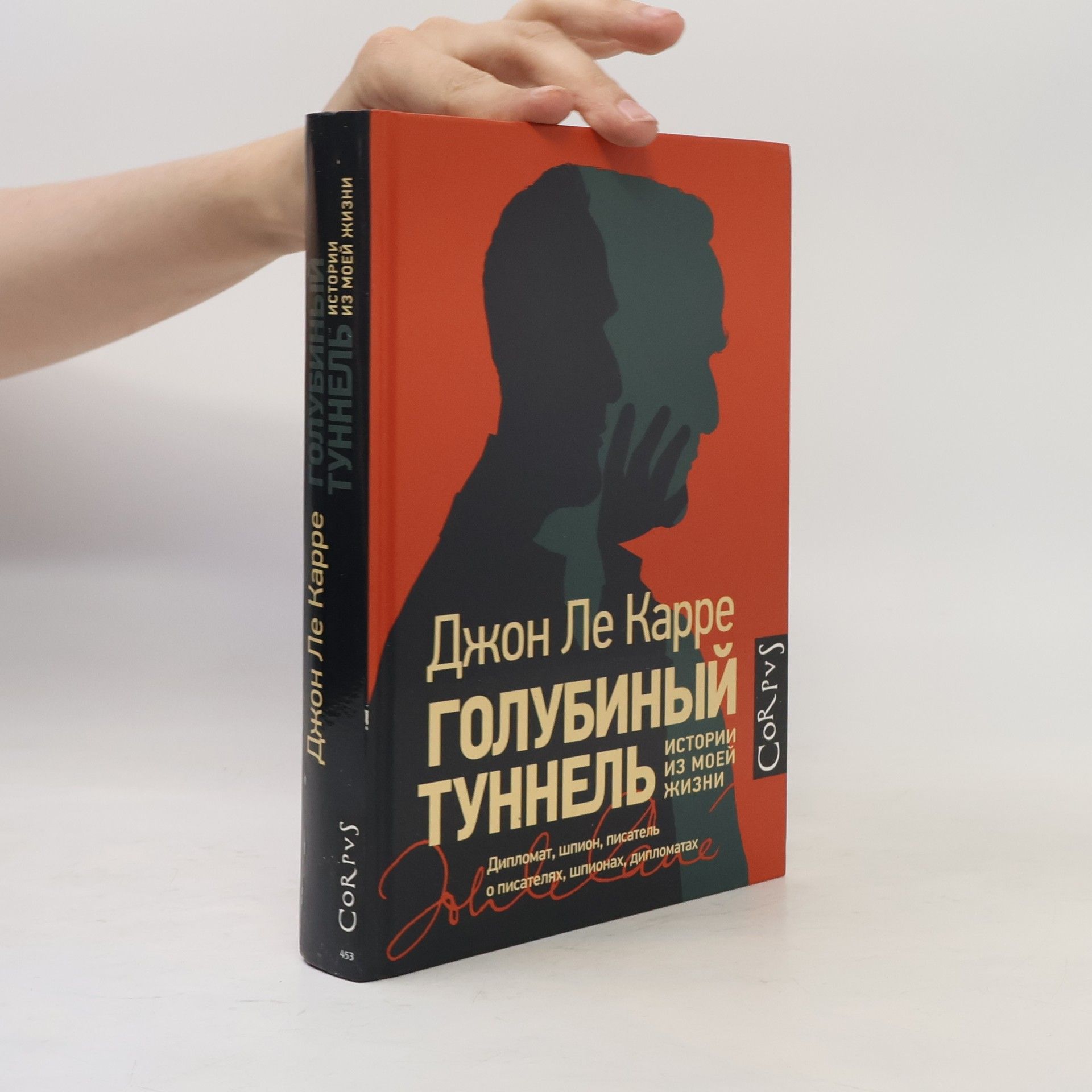 Любовь Тронина Голубиный туннель. Истории из моей жизни