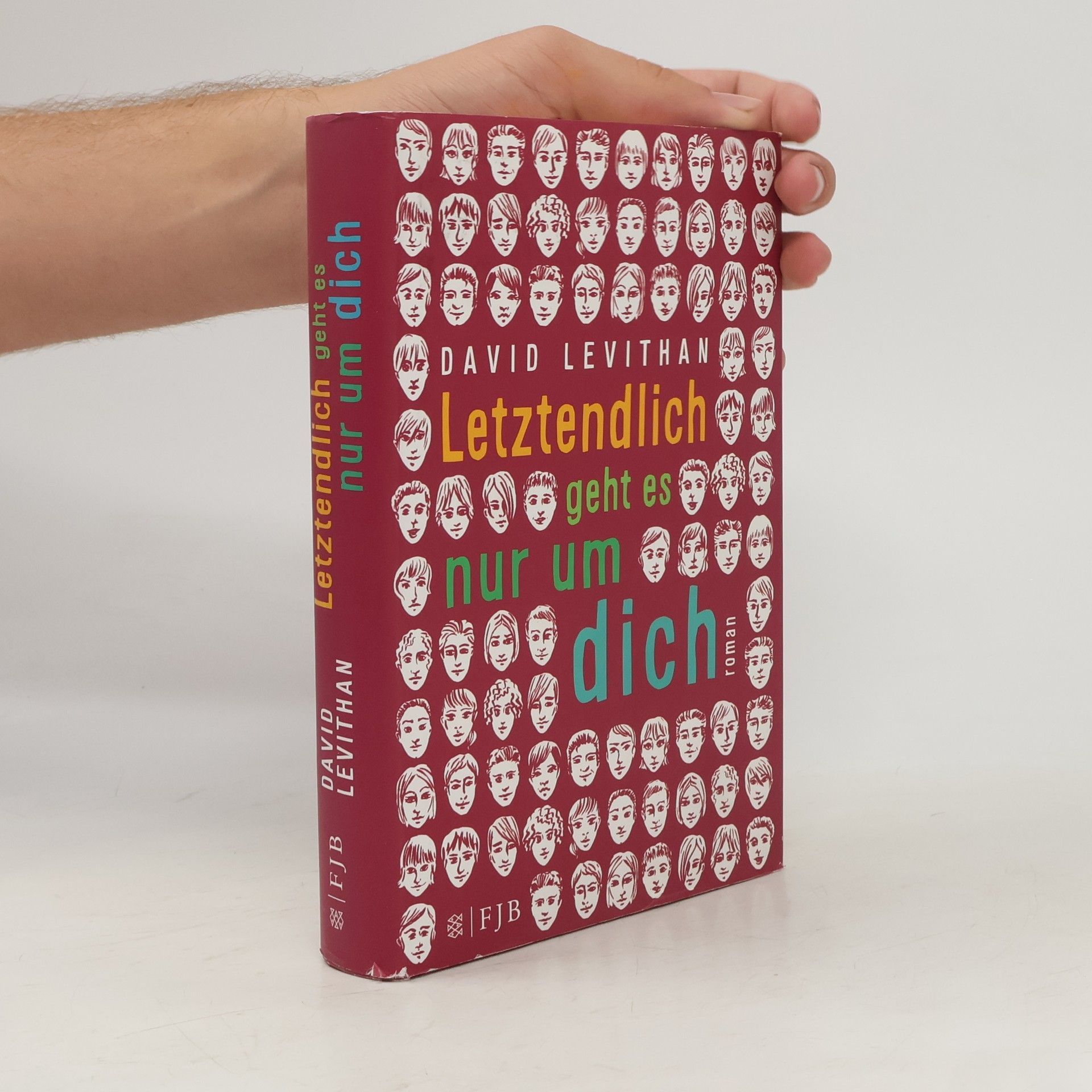 David Levithan Letztendlich geht es nur um dich
