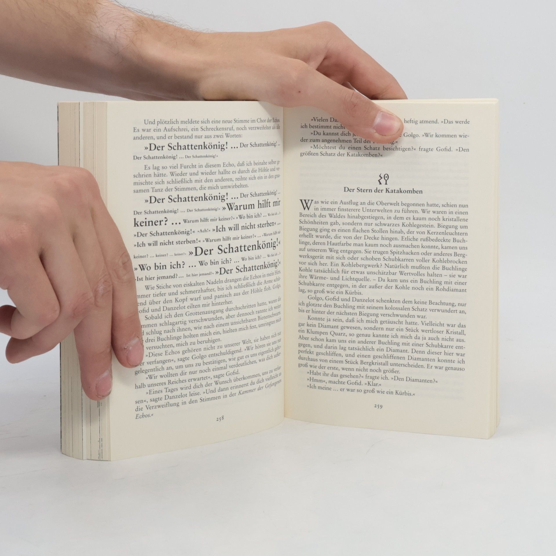 Walter Moers Die Stadt der Träumenden Bücher