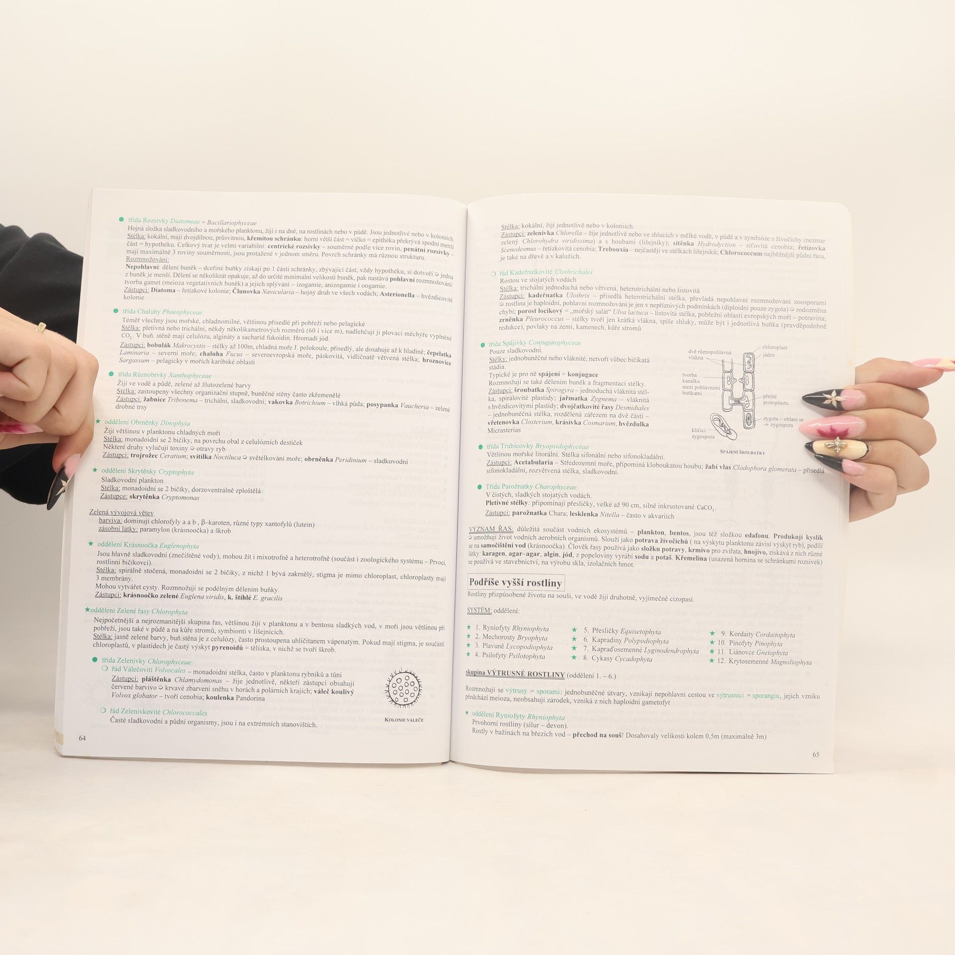 Hana Hančová Biologie I. v kostce : [obecná biologie, mikrobiologie, botanika, mykologie, ekologie, genetika] : pro střední školy