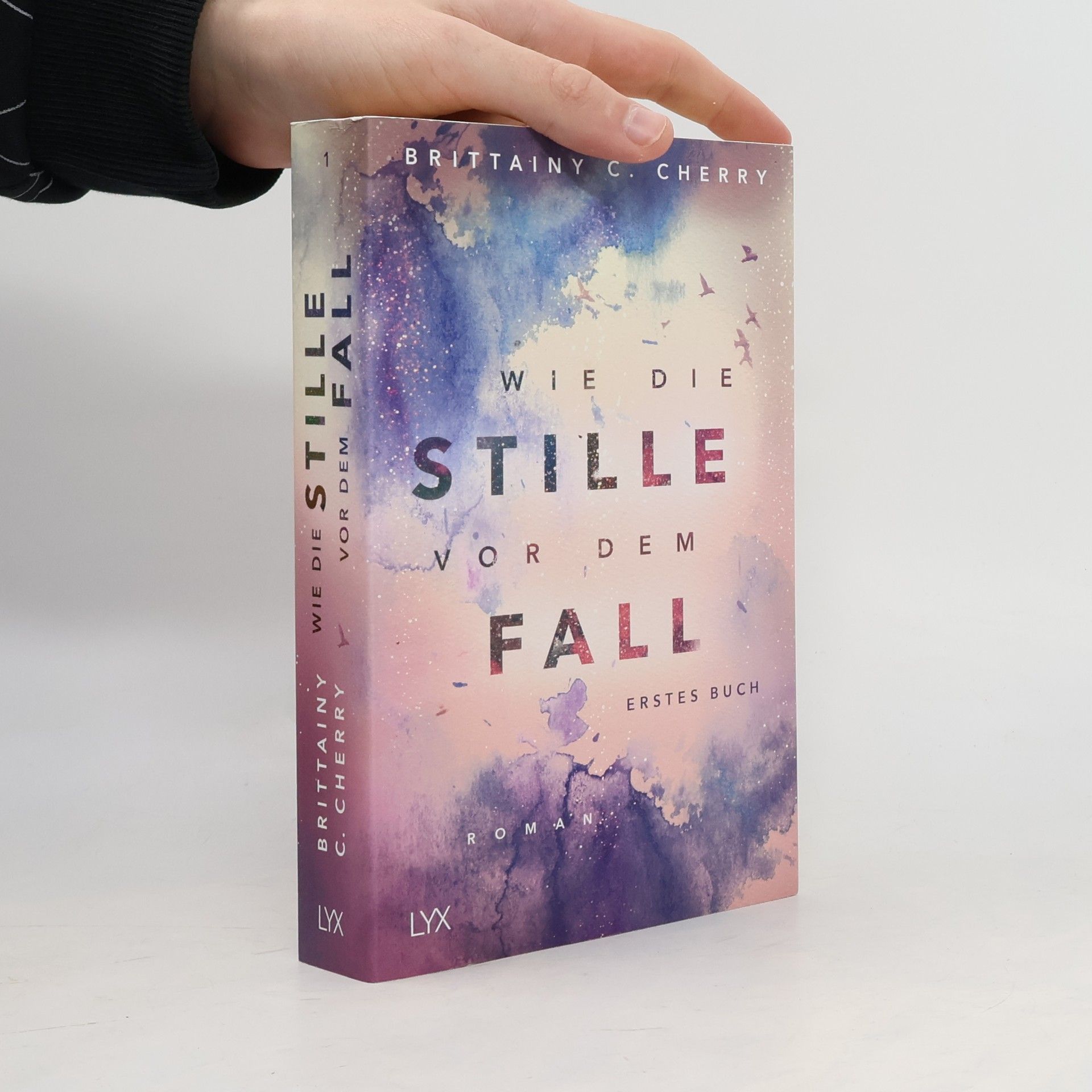 Brittainy C. Cherry Wie die Stille vor dem Fall