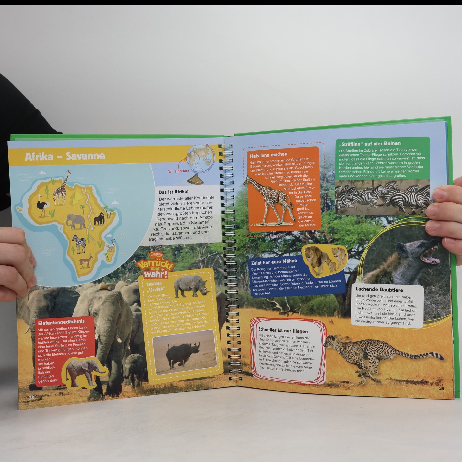 Autorenkollektiv Tiere der Welt: Mit Entdeckerfolien, Panoramaseiten & Stickern