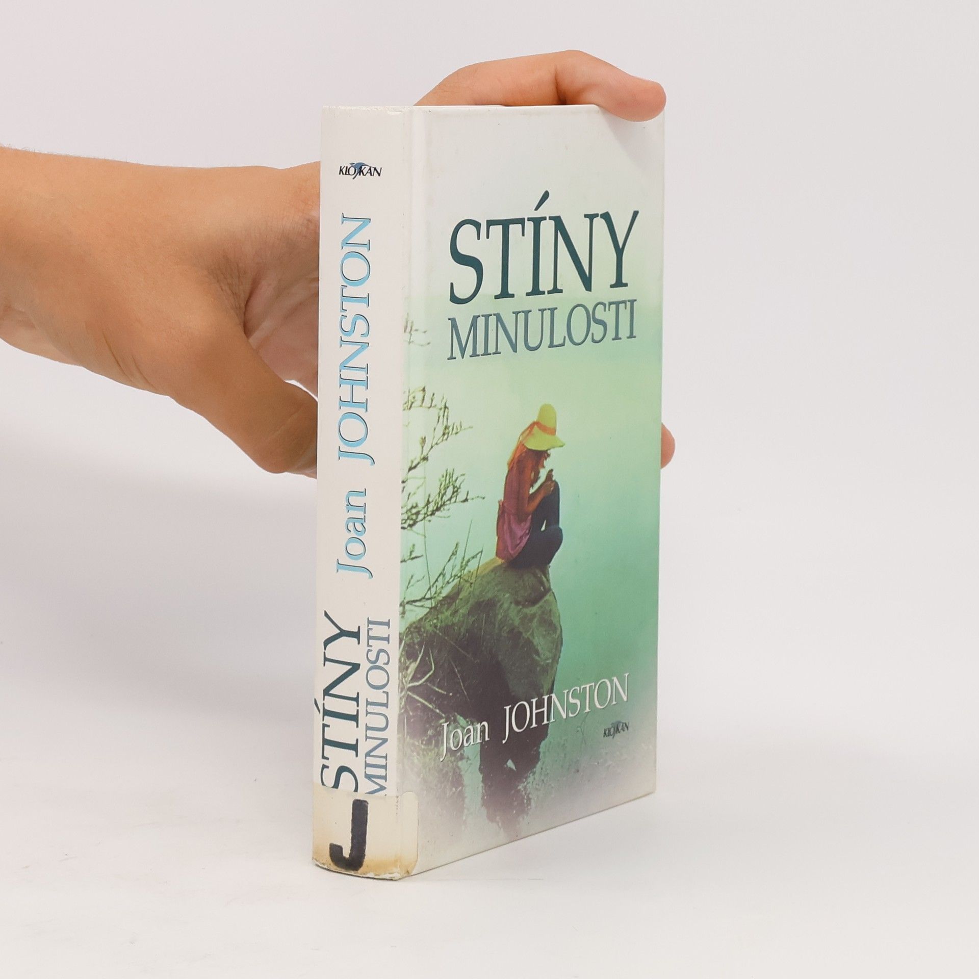 Joan Johnston Stíny minulosti