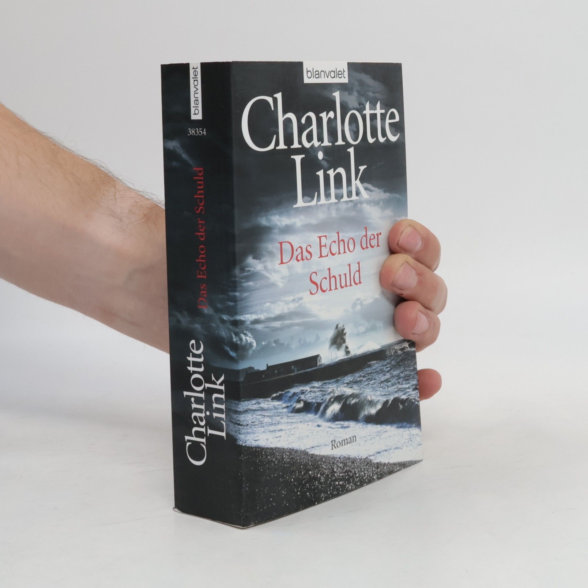 Charlotte Link Das Echo der Schuld