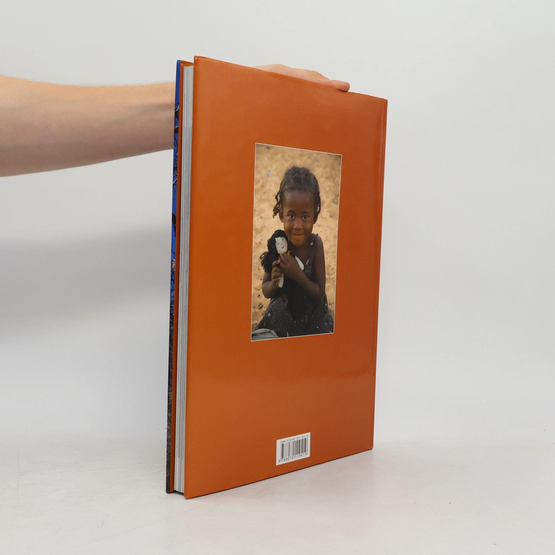 Růžena BeandapaKytlová Madagaskar : laboratoř bohů