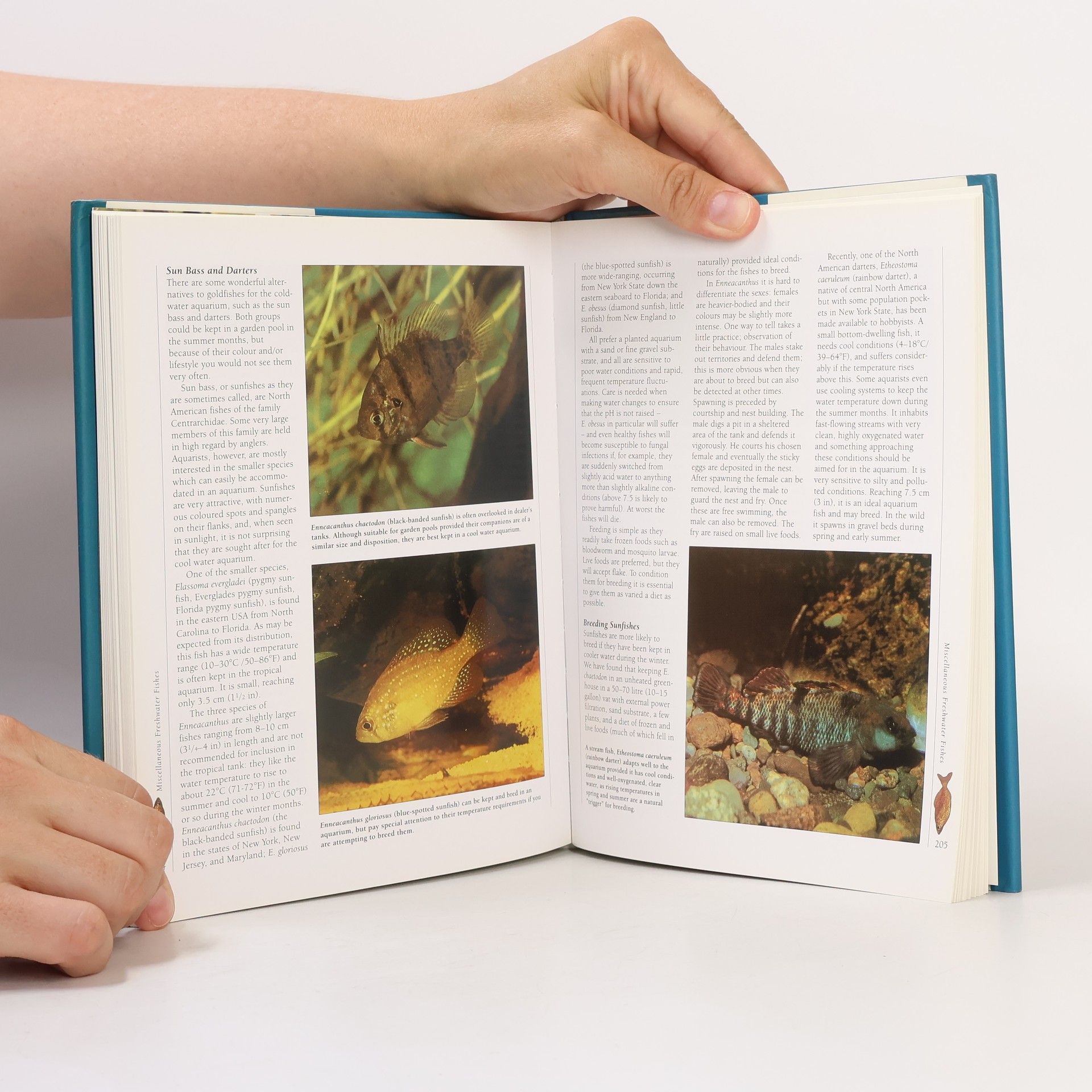 Mary Bailey The Ultimate Encyclopedia of Aquarium Fish & Fish Care