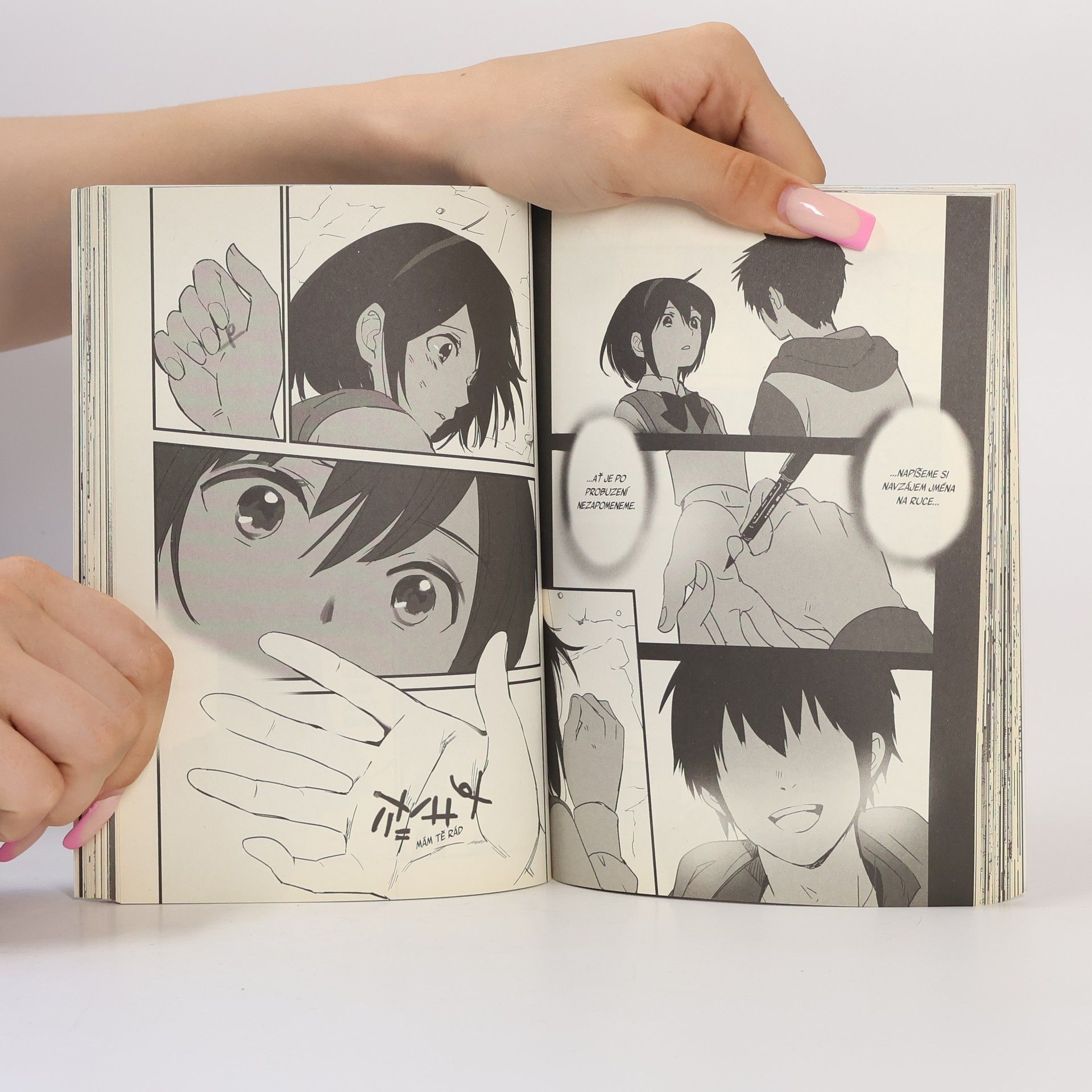 Makoto Šinkai To bylo tvé jméno. 03