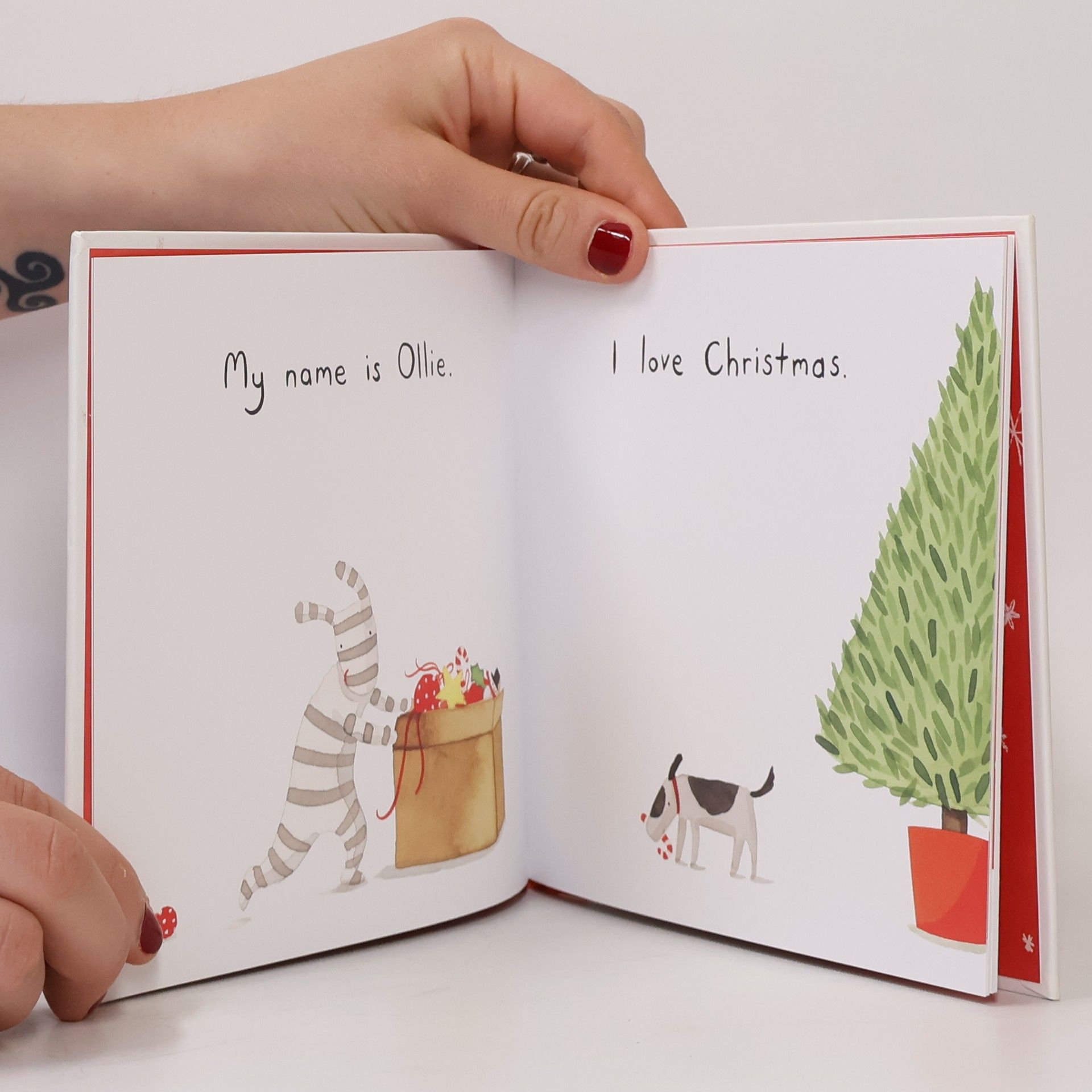 Anna Walker I Love Ollie: I Love Christmas