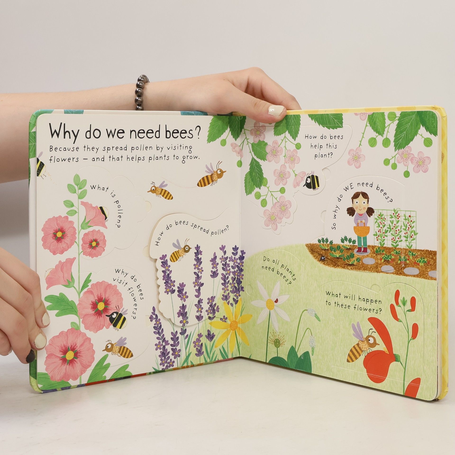 Katie Daynes Why Do We Need Bees?