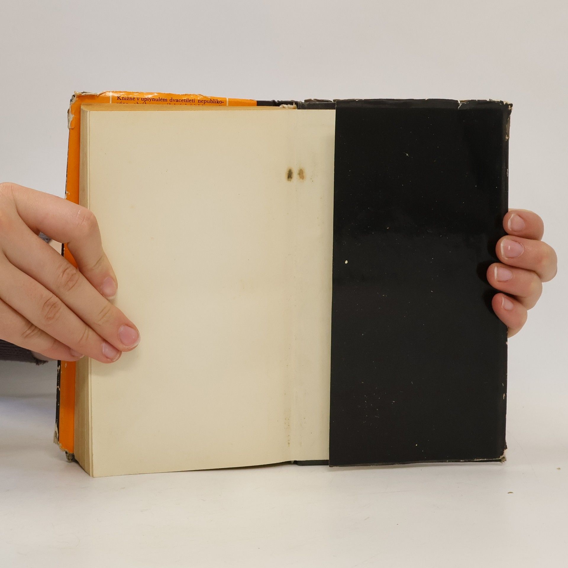 Václav Černý Studie a eseje z moderní světové literatury