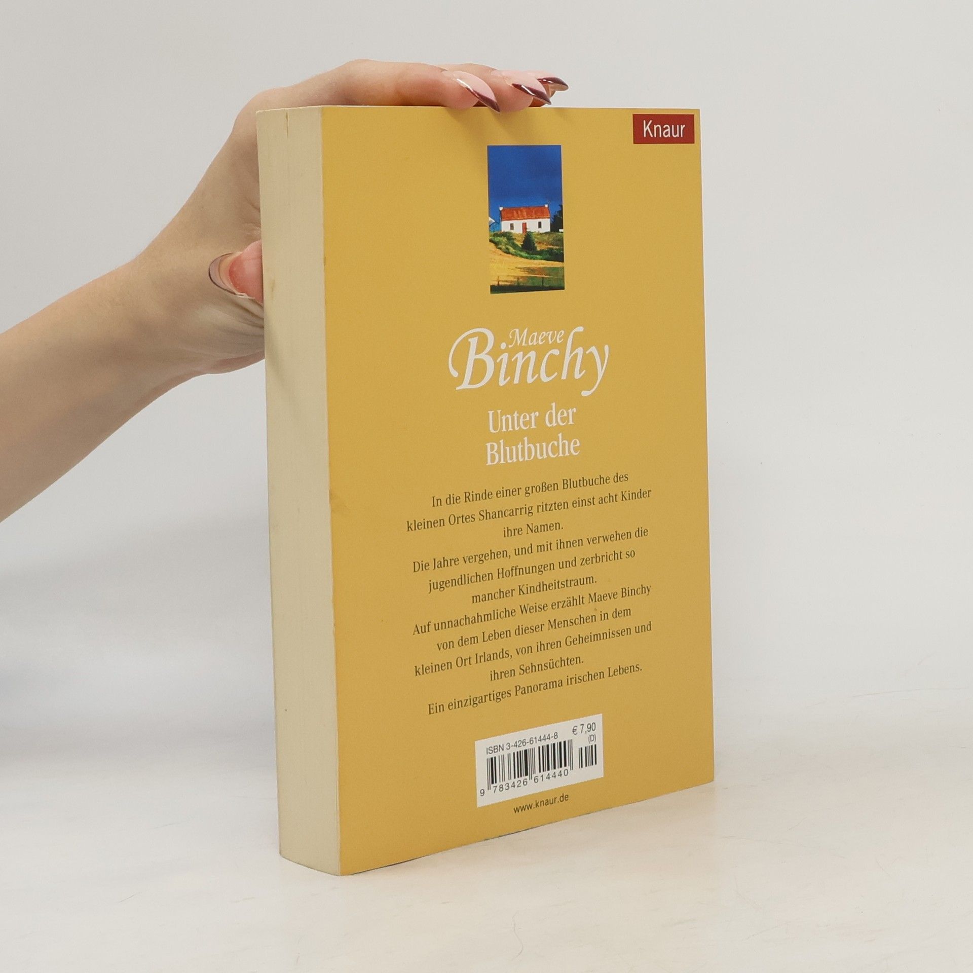 Maeve Binchy Unter der Blutbuche