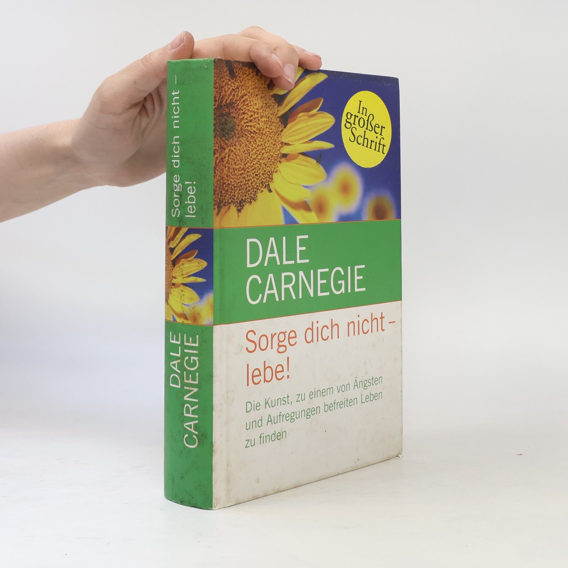 Dale Carnegie Sorge dich nicht - lebe!