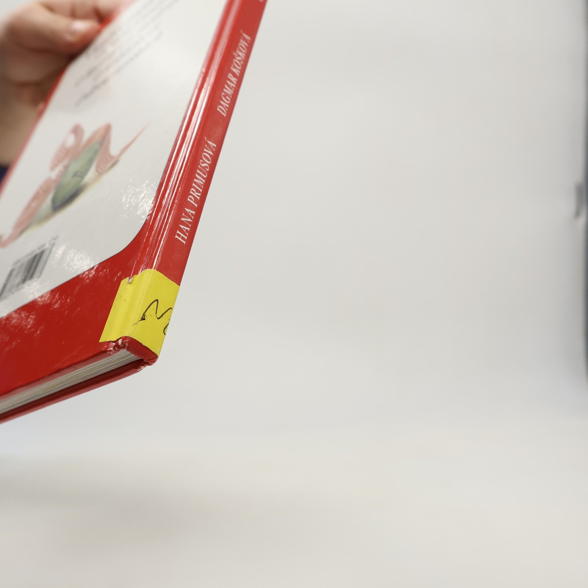 Hana Primusová O třech prasátkách a jiné pohádky