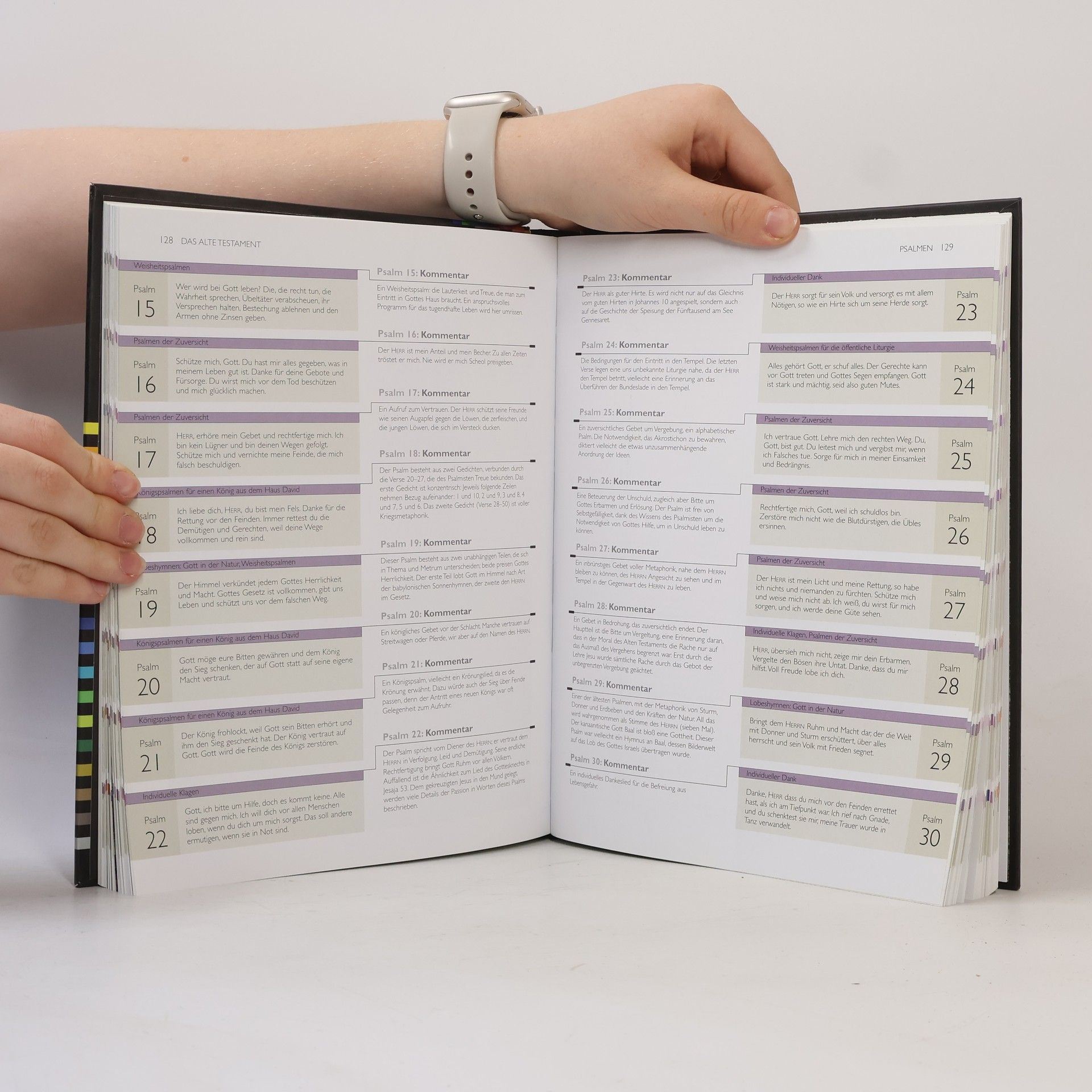 Henry Wansbrough Der Bibel-Guide