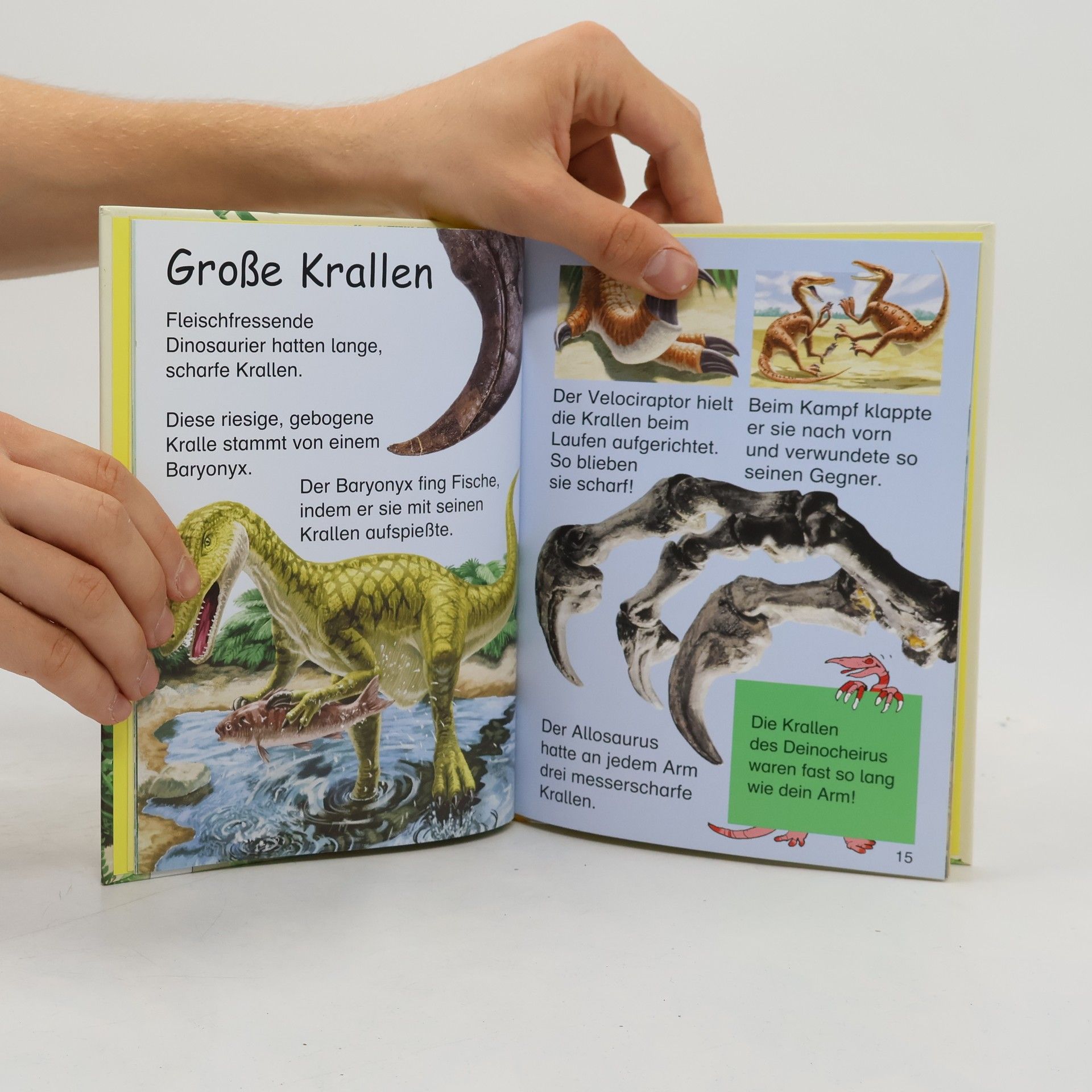 Stephanie Turnbull Der Bücherbär: Dinosaurier