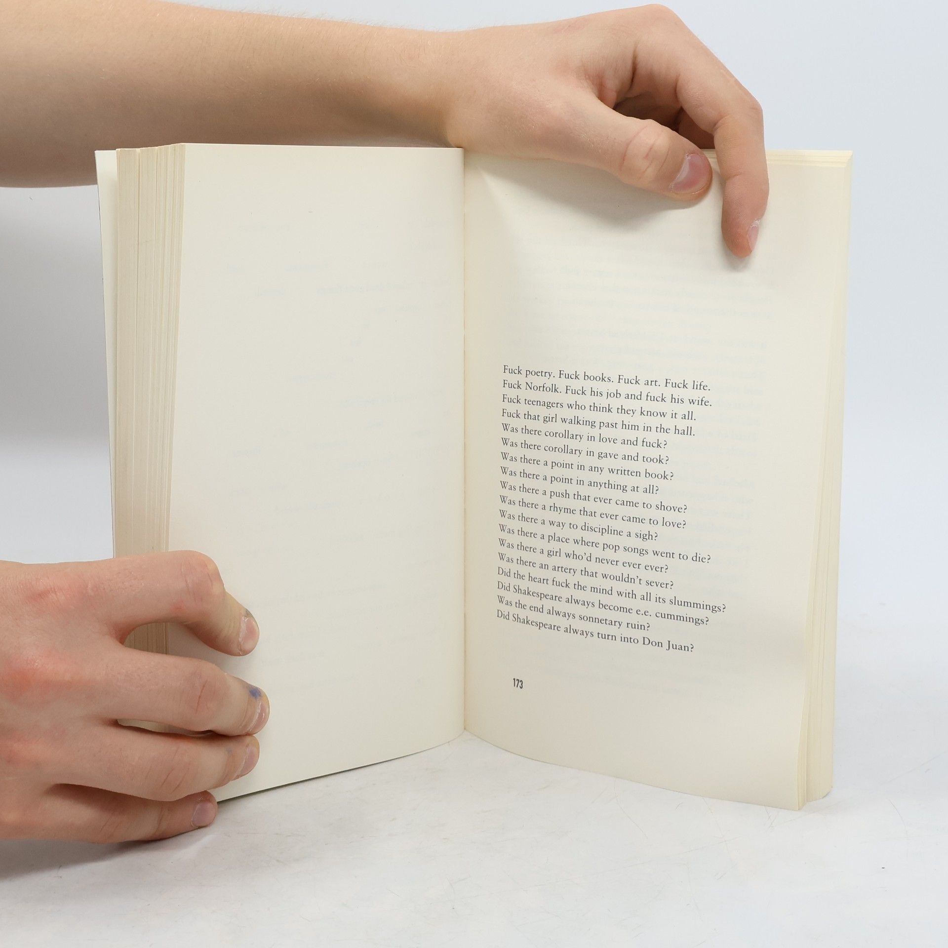 Ali Smith The Accidental