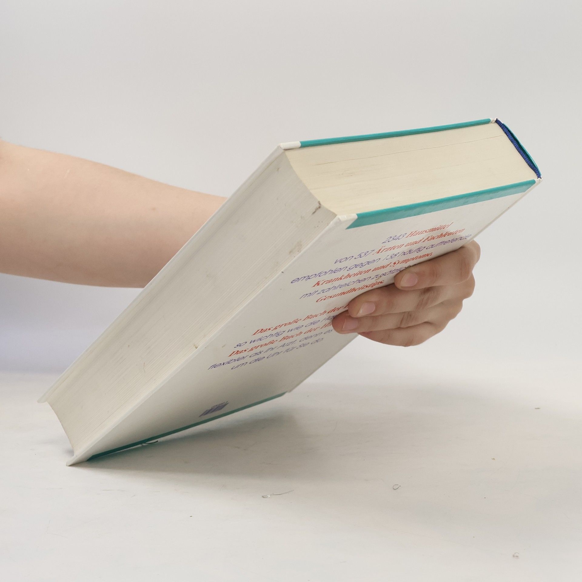 Debora Tkac Das grosse Buch der Haus Mittel